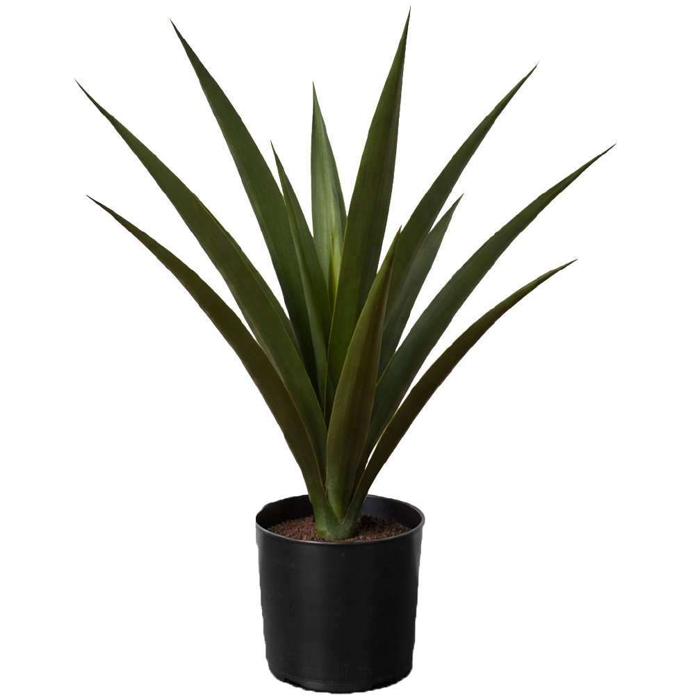 Planta Sintética Agapanto 60 cm