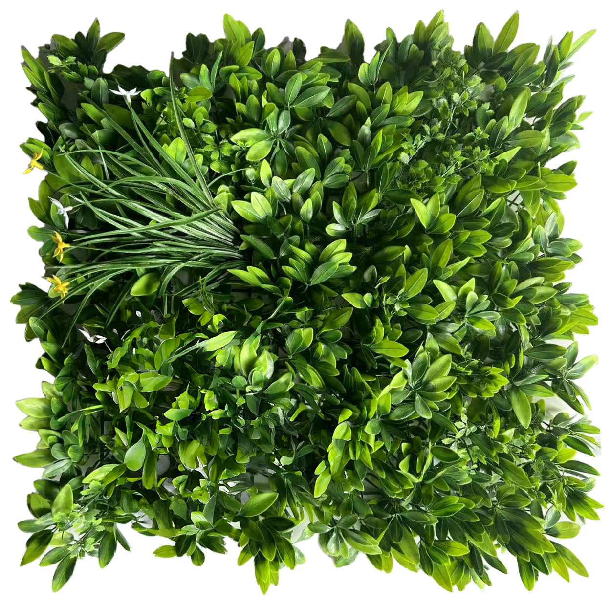 Muro Verde Helecho Flor Estrella