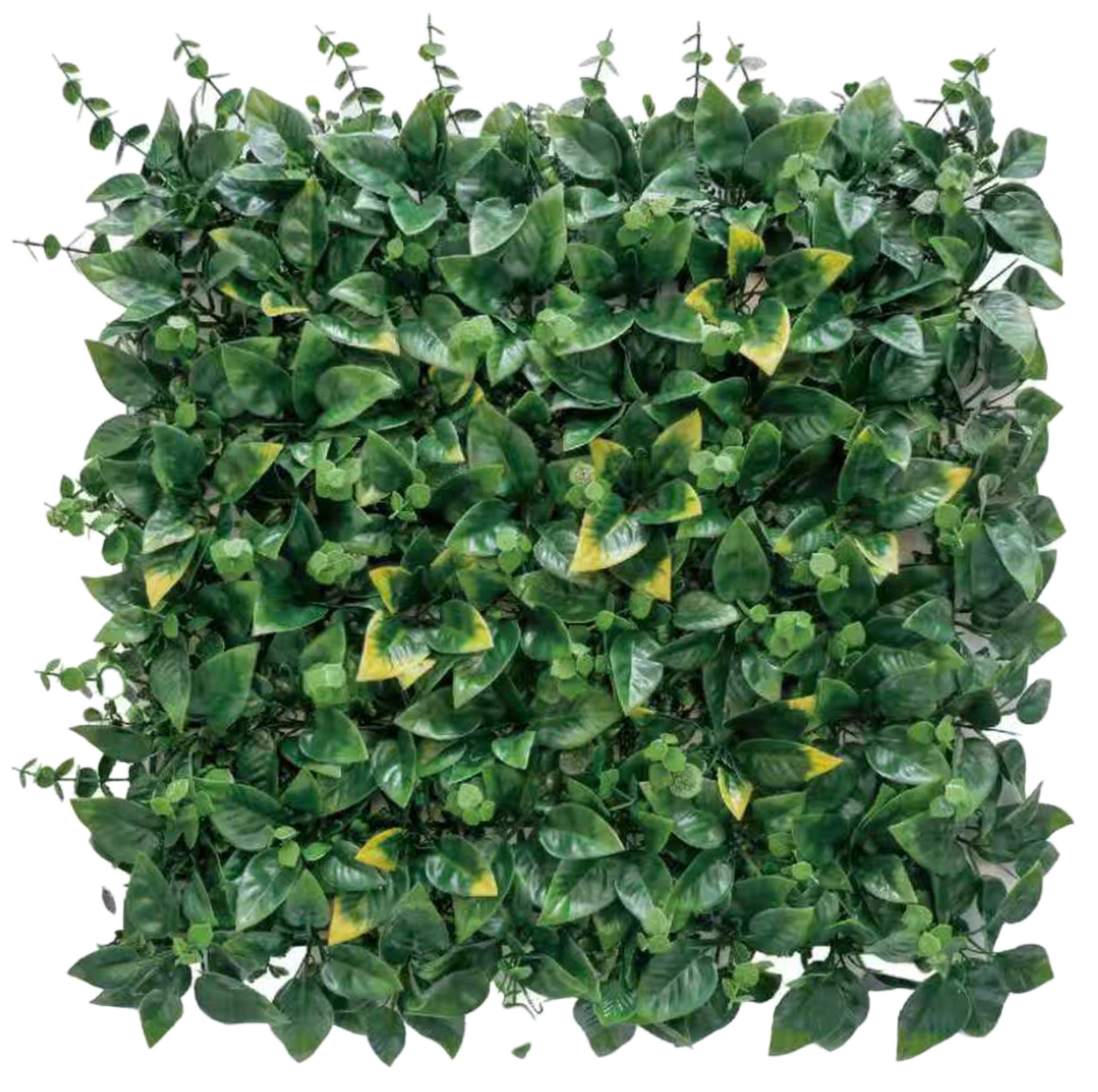 Muro Verde Helecho Menta