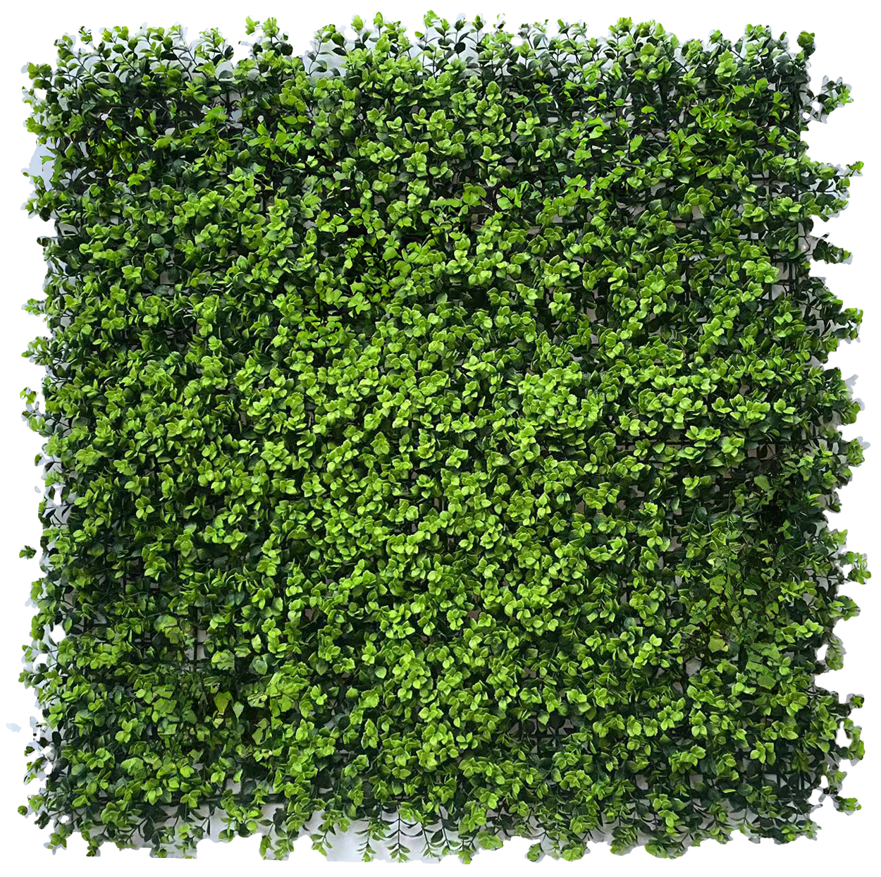 Muro Verde Helecho Topiario Grande