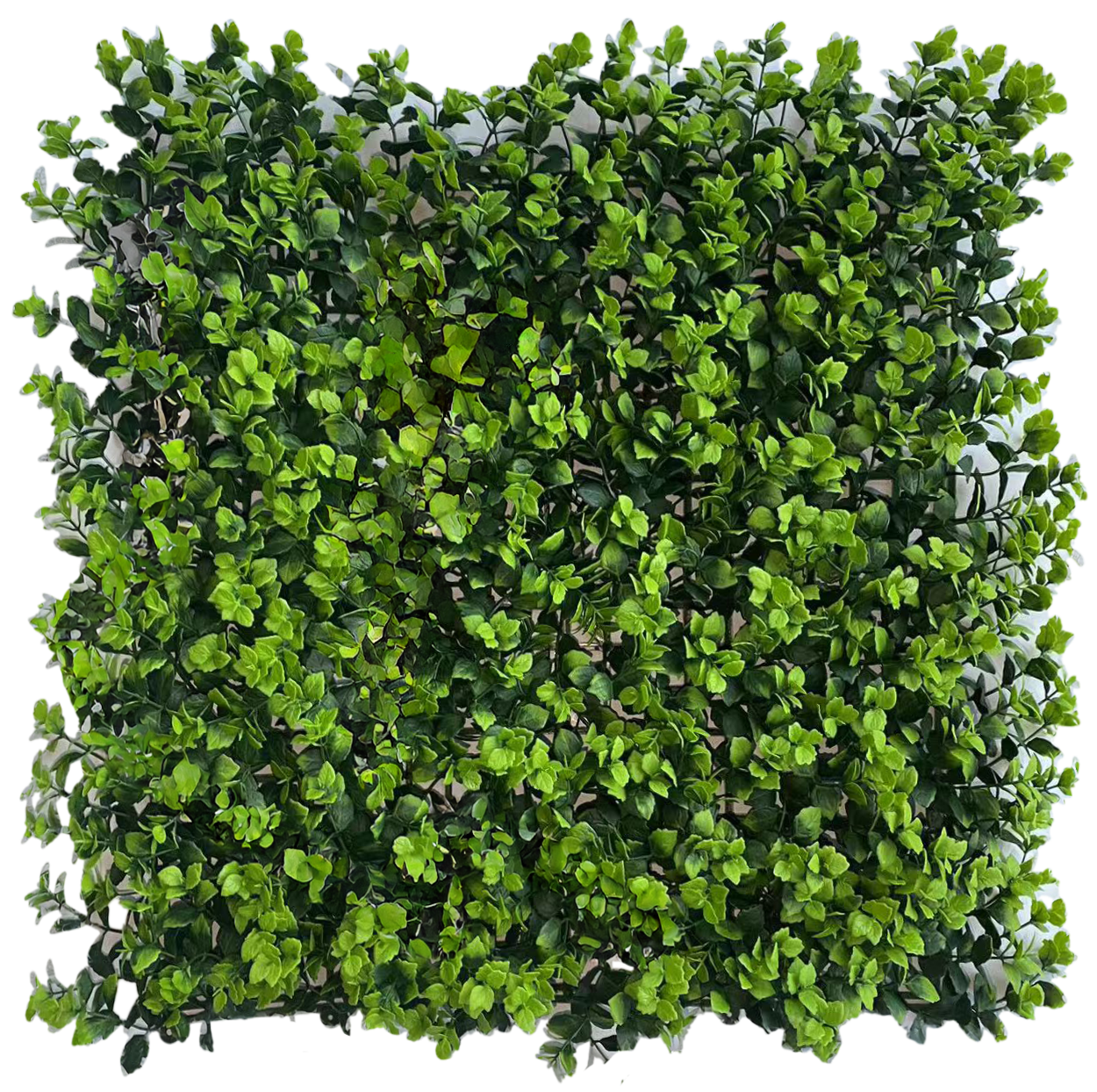 Muro Verde Helecho Topiario Chico