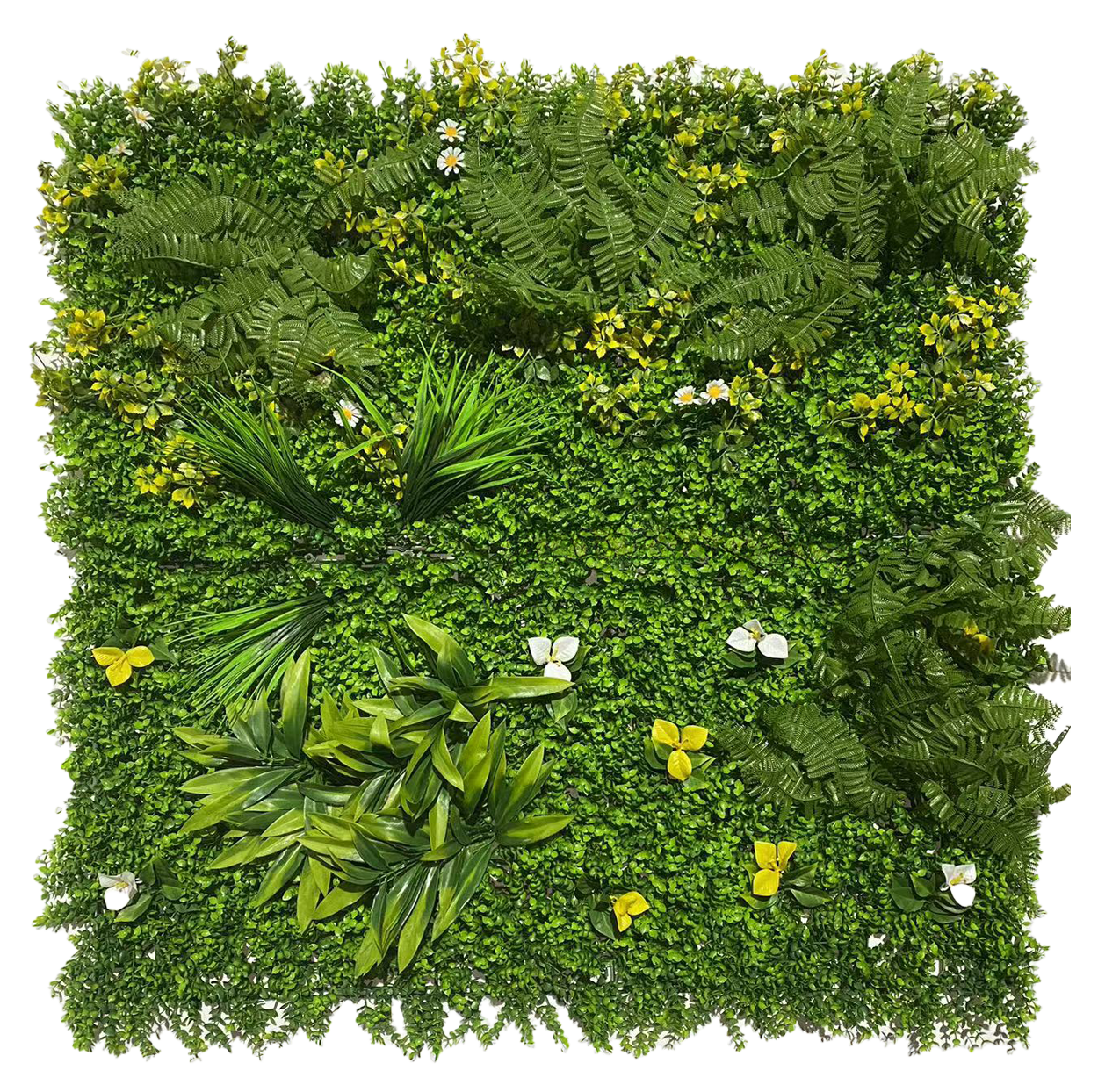 Muro Verde Helecho Versalles