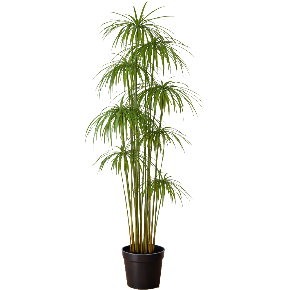 Planta Sintética Papiro 120 cm
