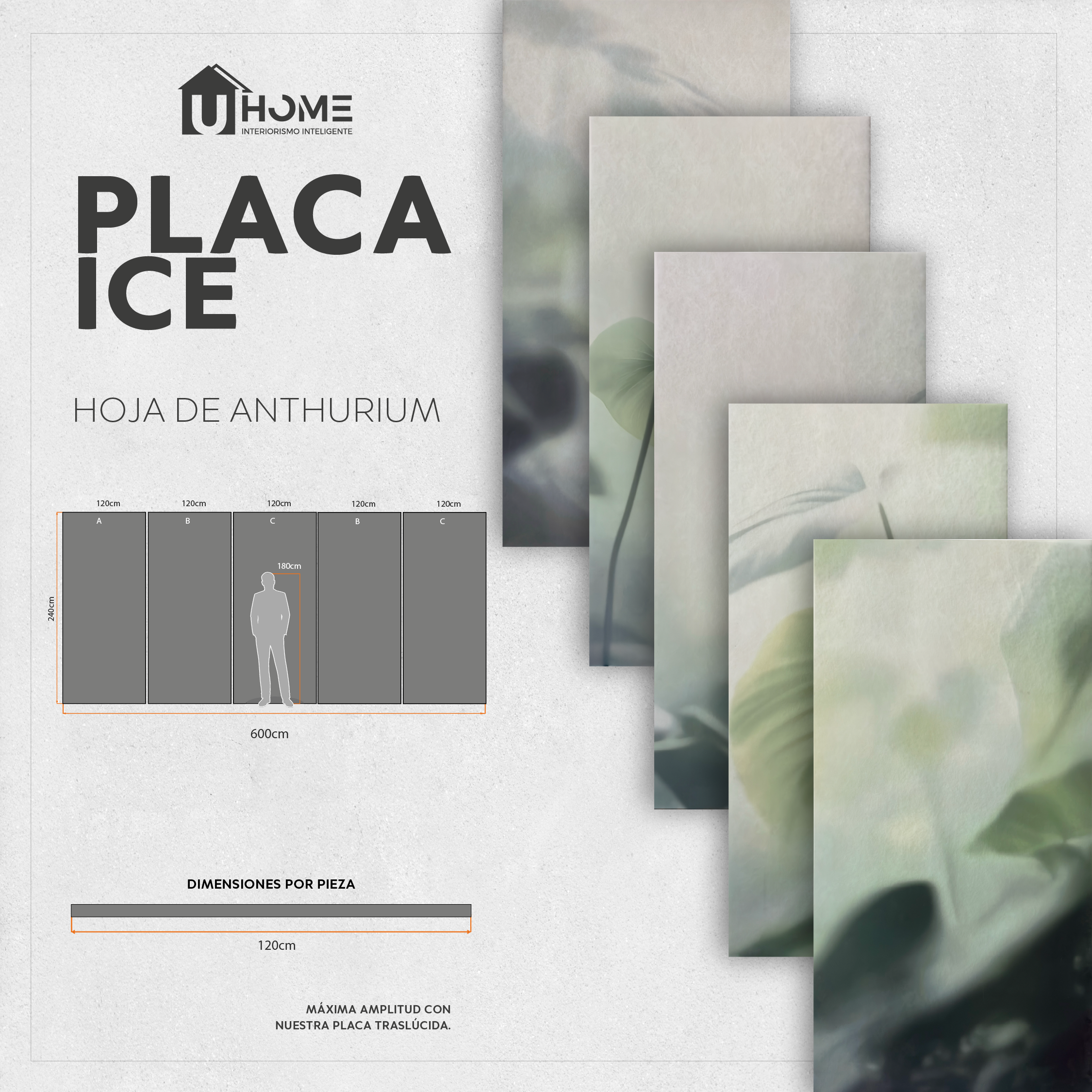 5 piezas Placa Ice Hoja de Anthurium - Hoja 120x240