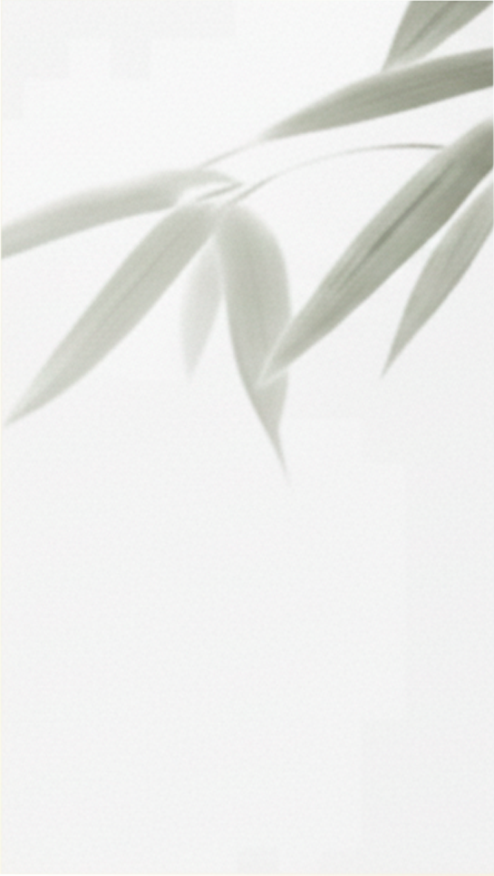 5pzas Placa Ice Bamboo Bambusa - Hoja 120x240