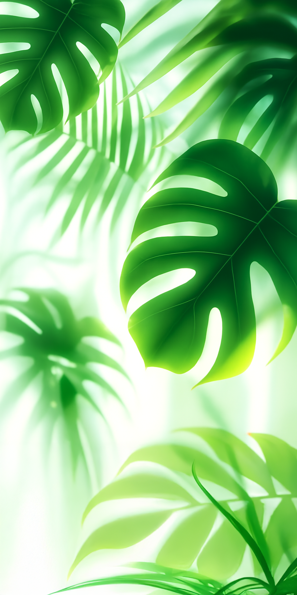 Placa Ice Monstera Deliciosa - Hoja120x240