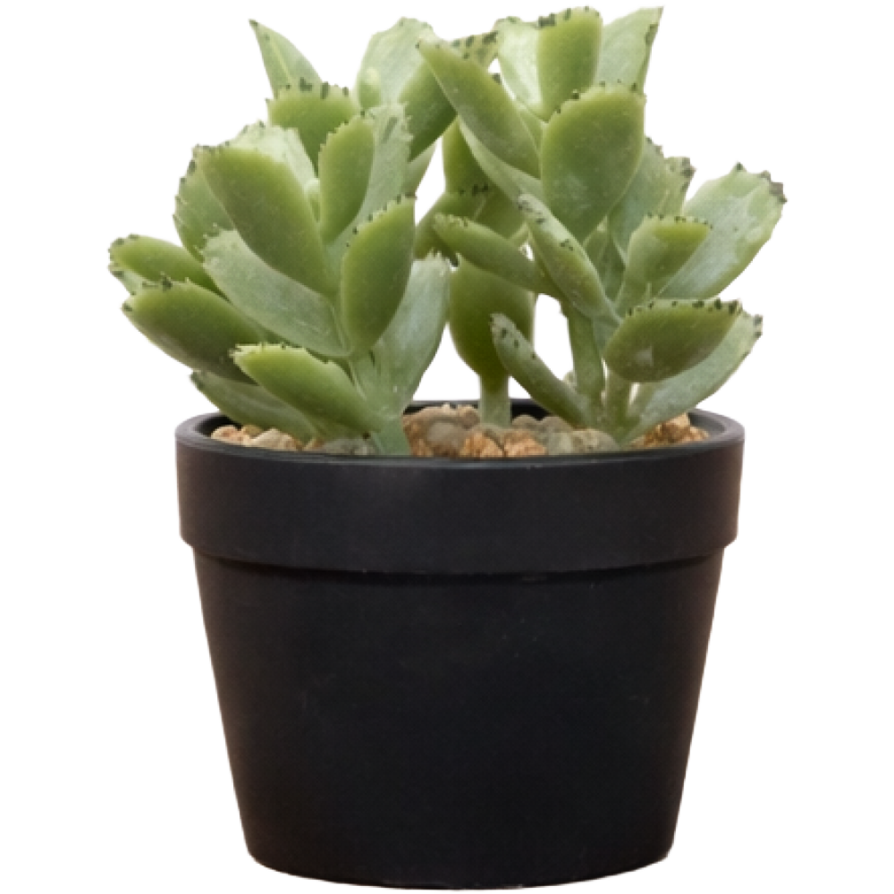 Planta Sintética Suculenta 1