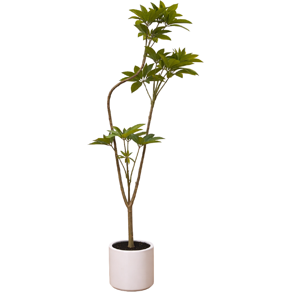 Planta Sintética Cheflera 190 cm