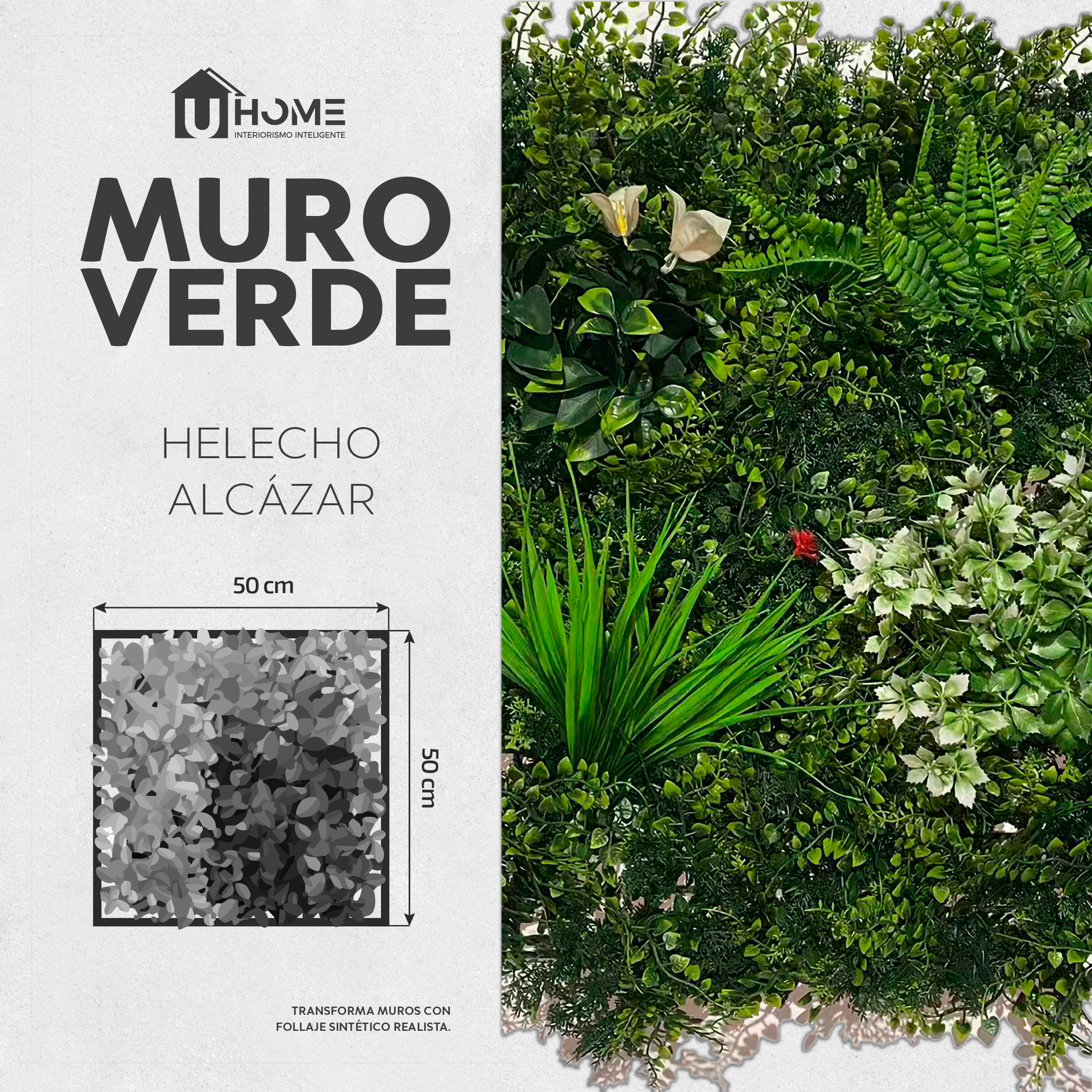 Muro Verde Helecho Alcázar