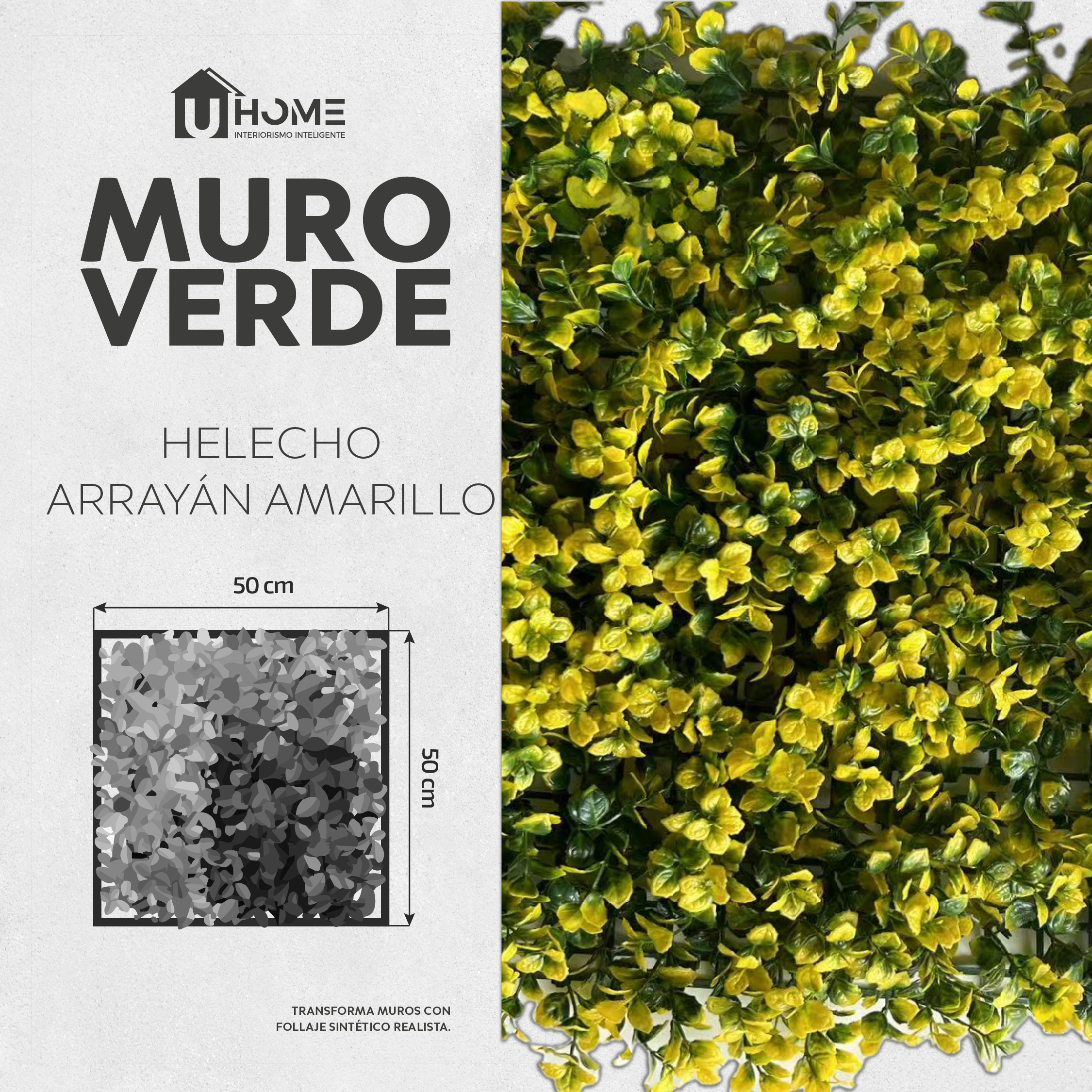 Muro Verde Helecho Arrayán Amarillo