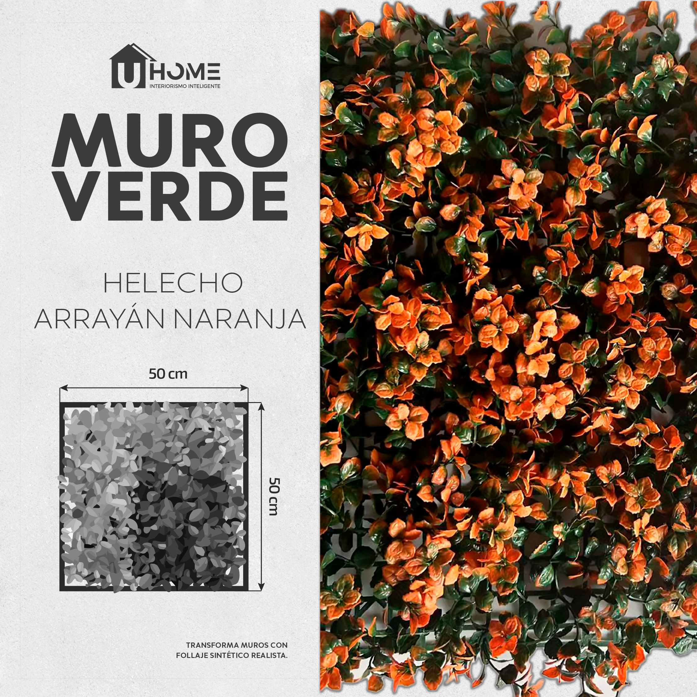 Muro Verde Helecho Arrayán Naranja