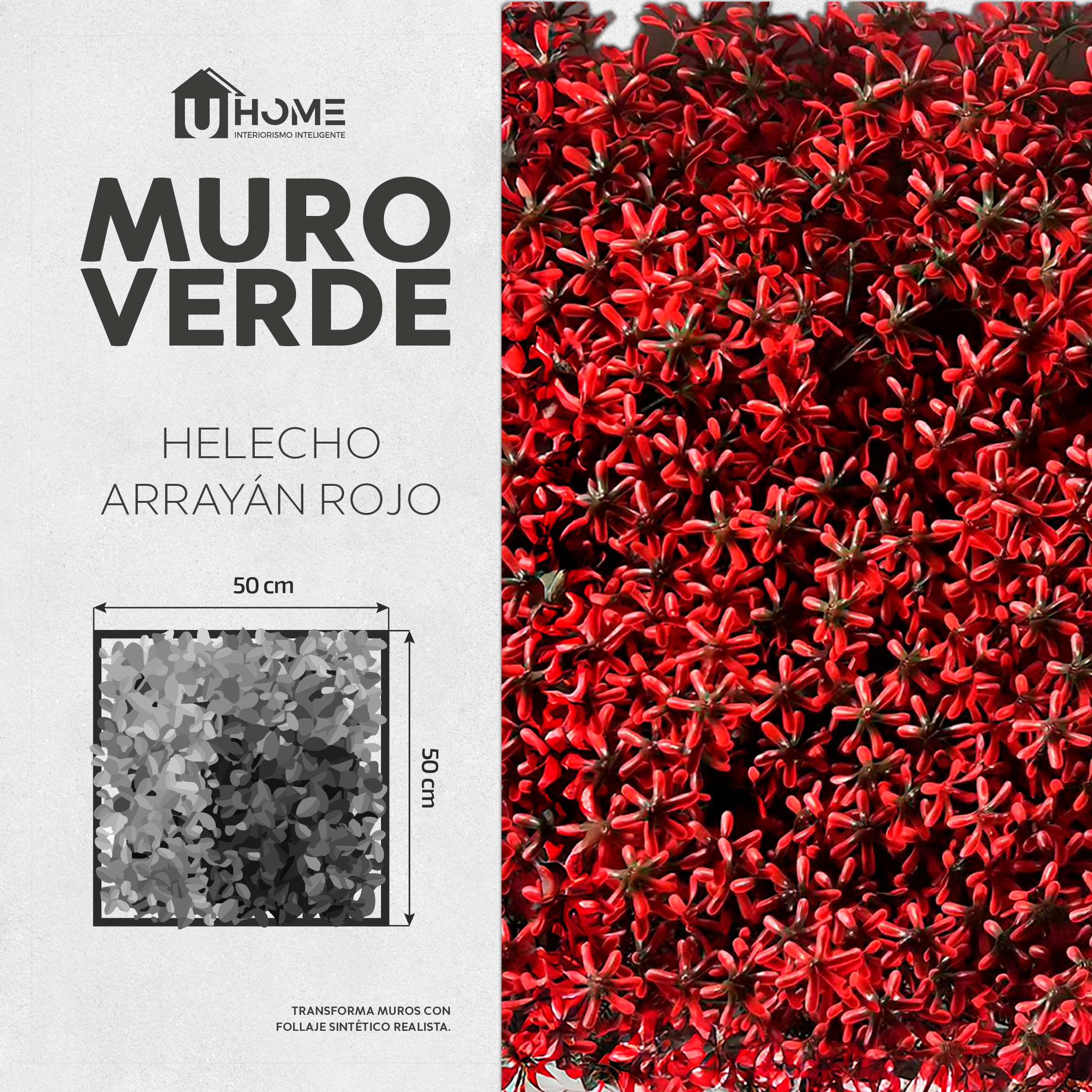 Muro Verde Helecho Arrayán Rojo