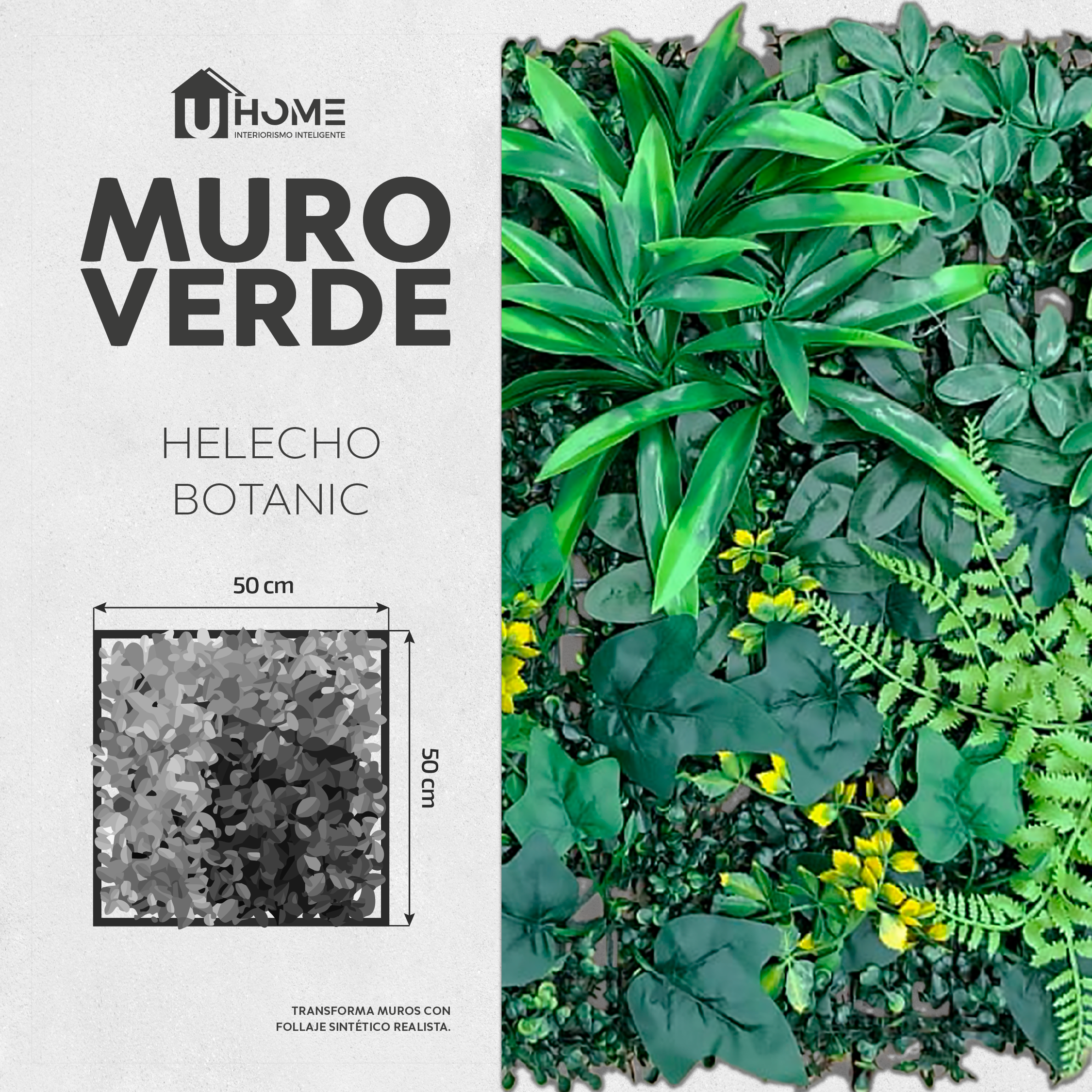 Muro Verde Helecho Botanic