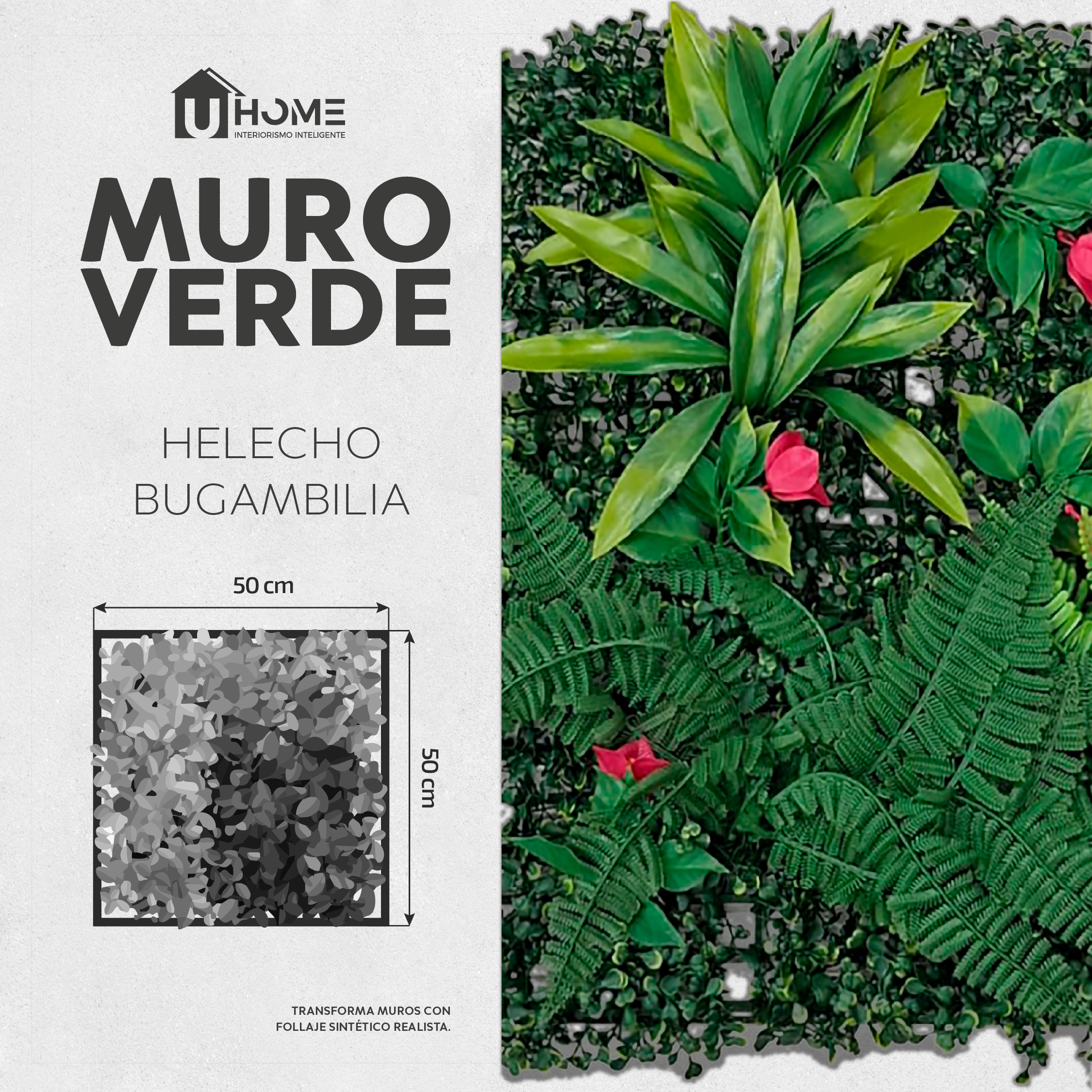 Muro Verde Helecho Bugambilia
