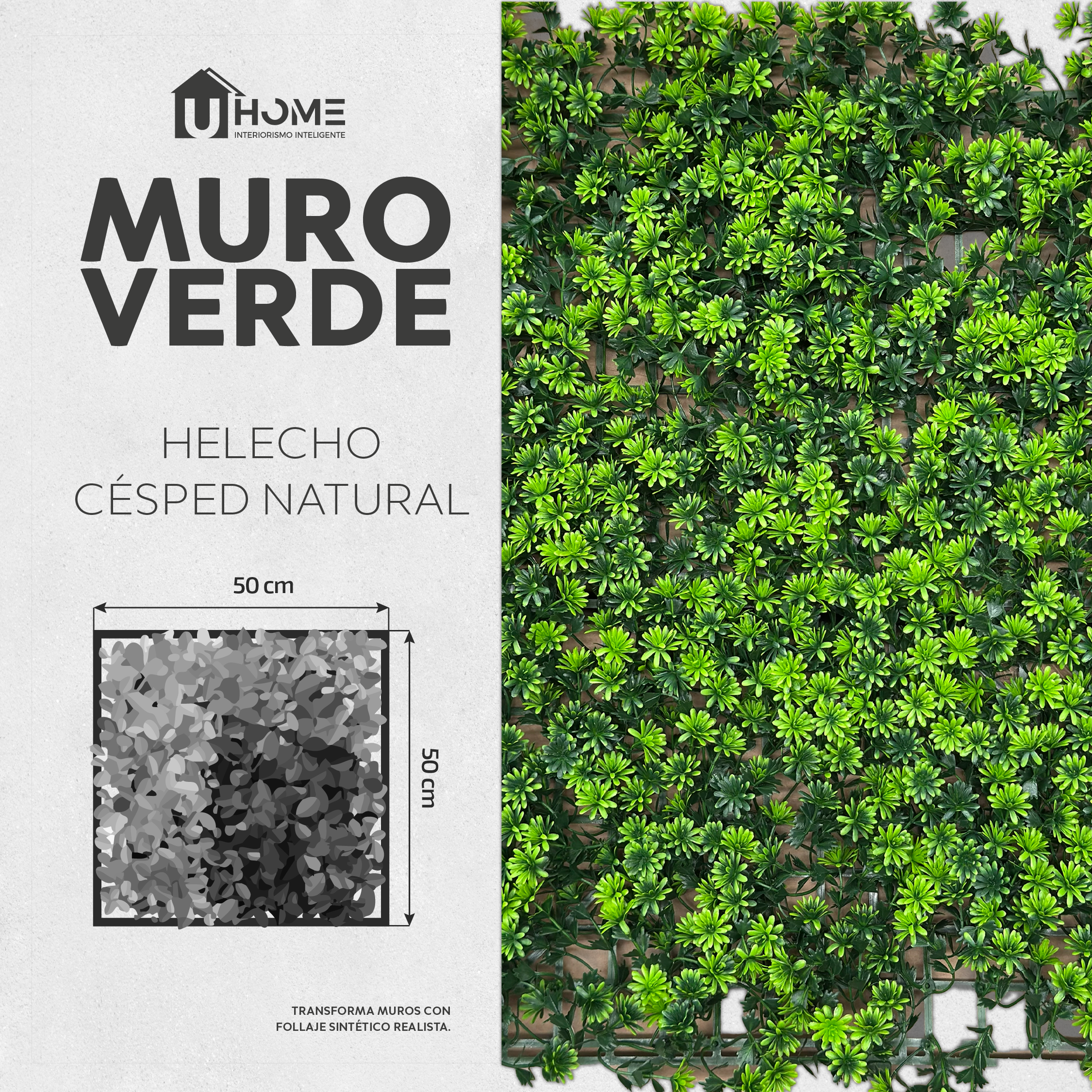 Muro Verde Césped Natural