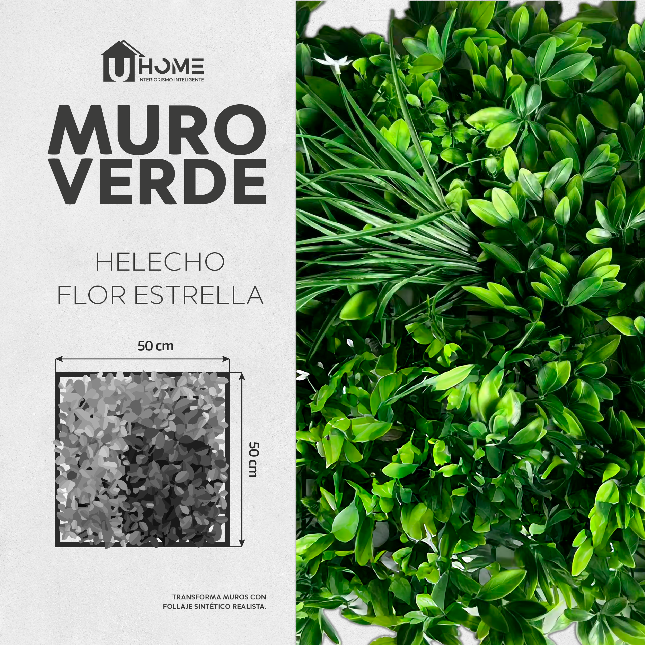 Muro Verde Helecho Flor Estrella