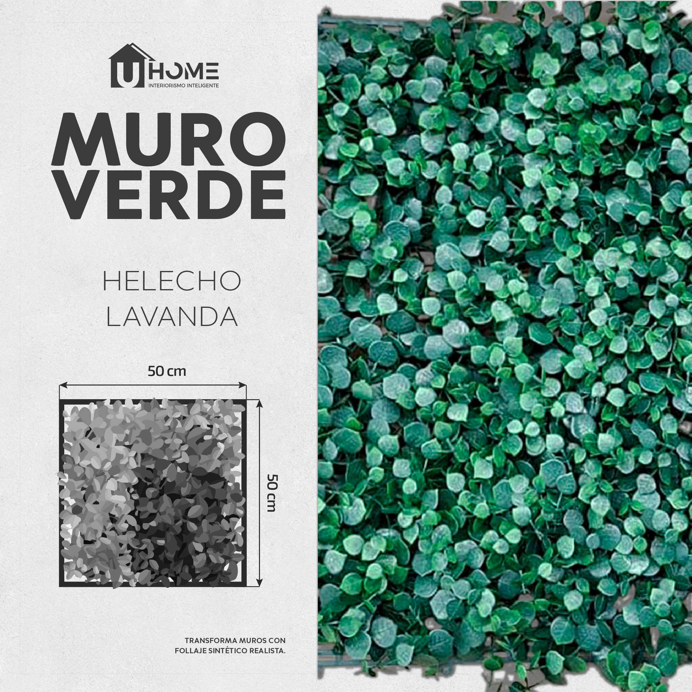 Muro Verde Helecho Lavanda