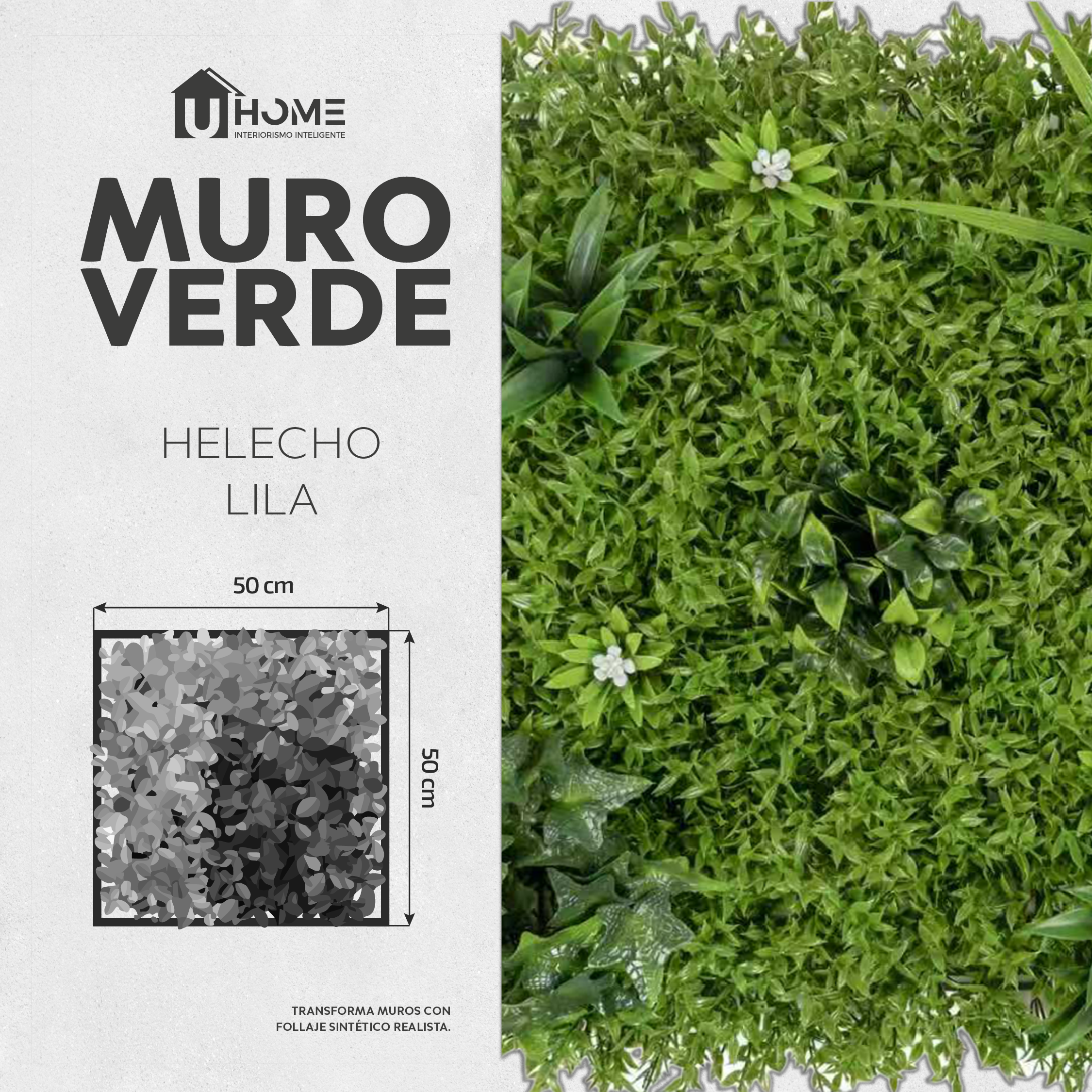Muro Verde Helecho Lila