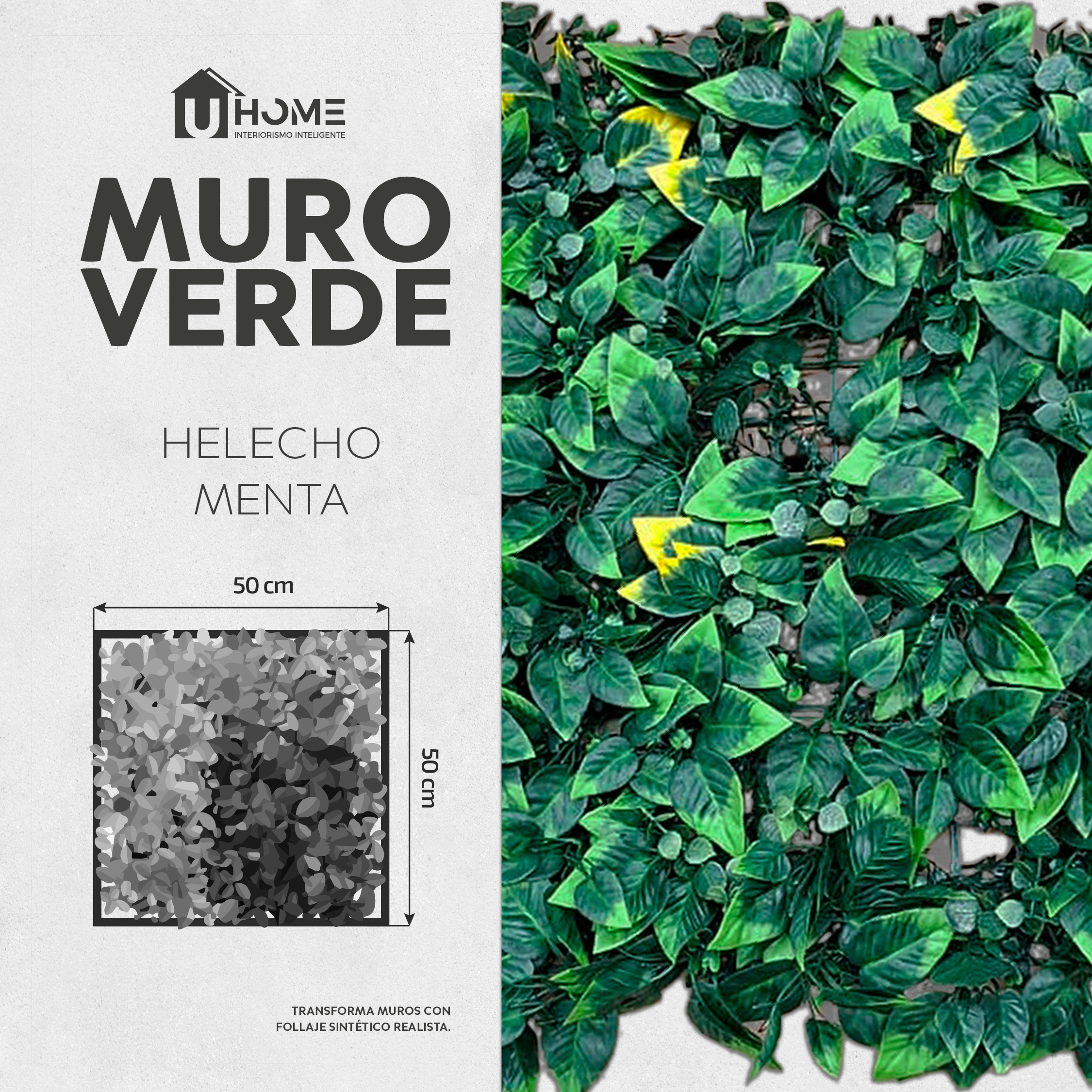 Muro Verde Helecho Menta