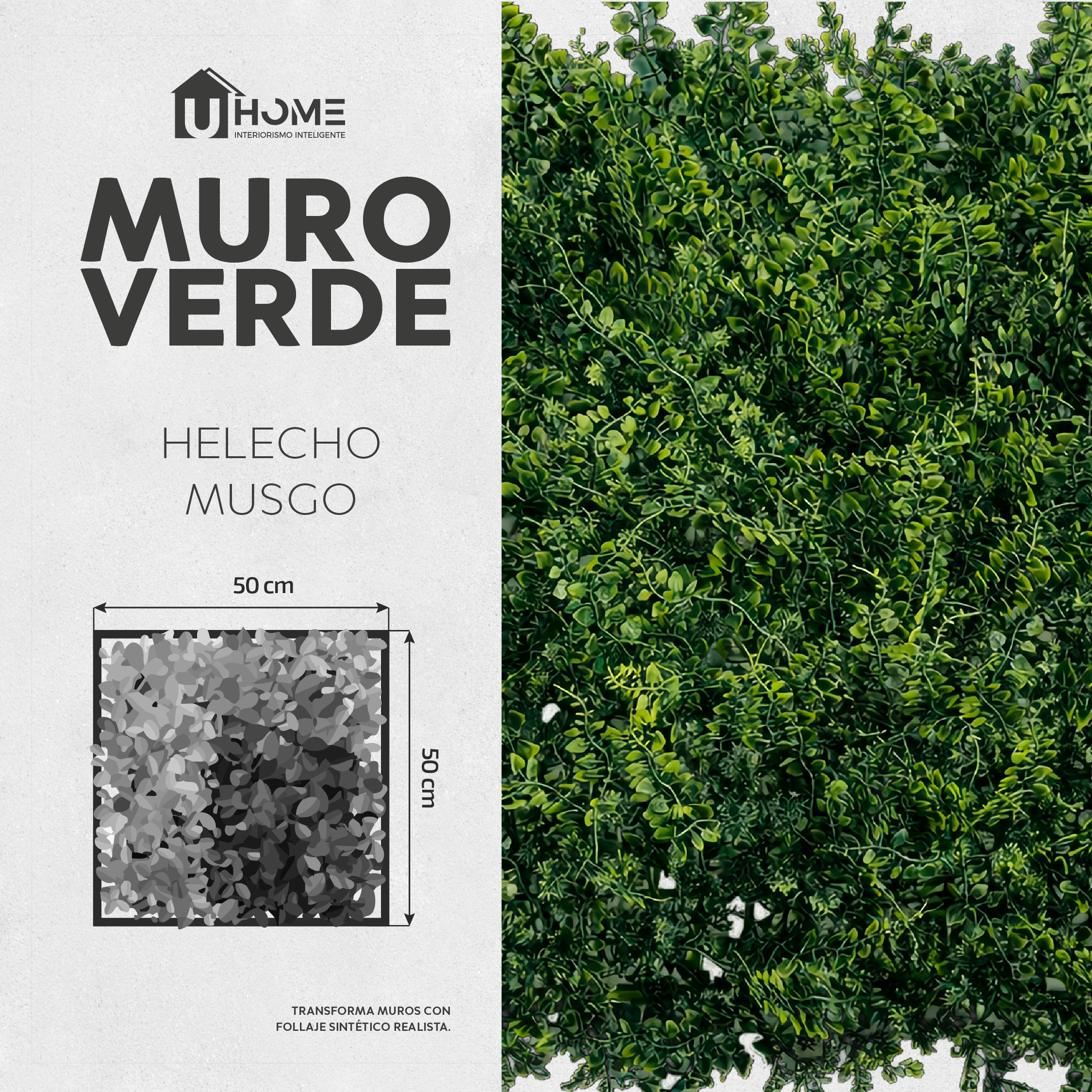 Muro Verde Helecho Musgo