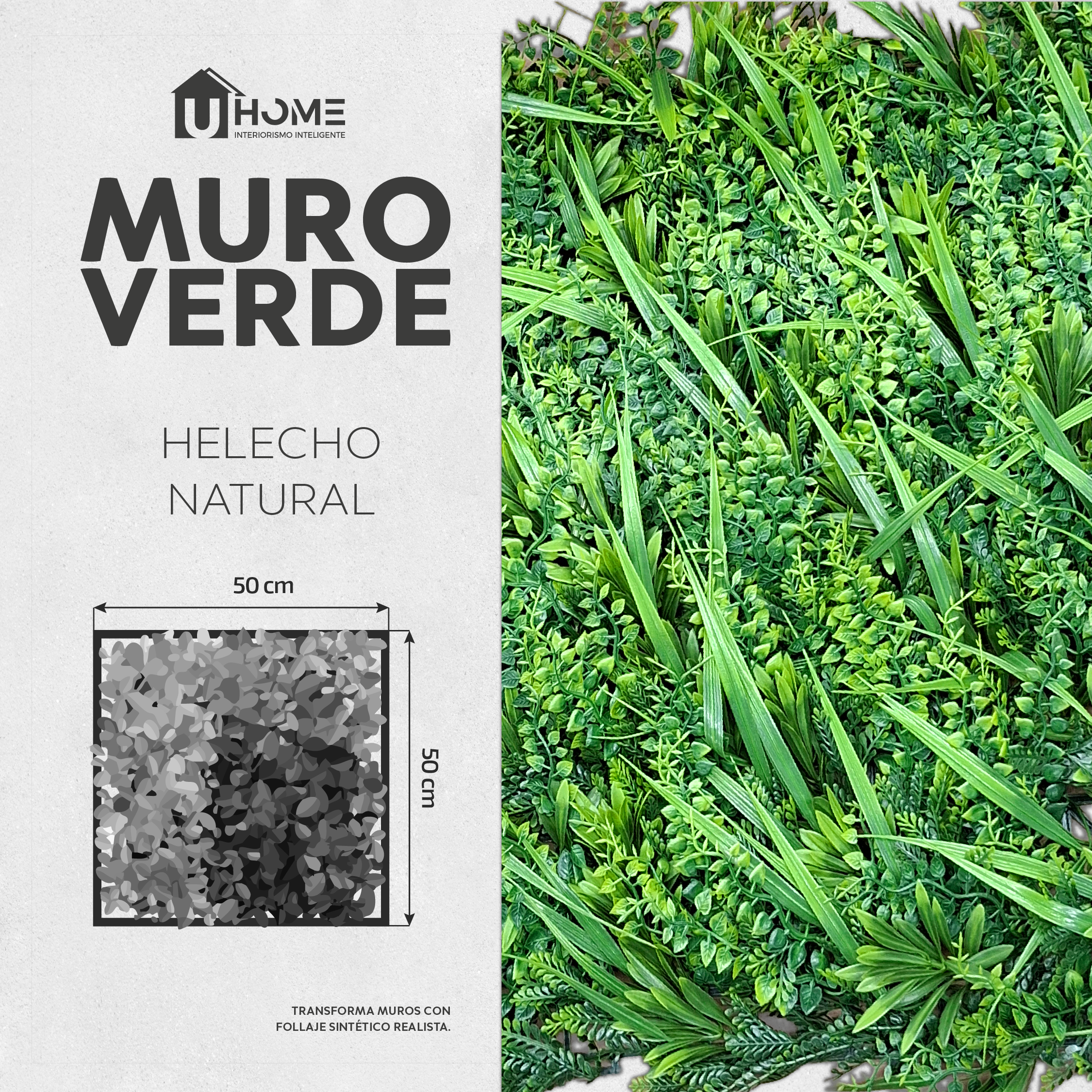 Muro Verde Helecho Natural