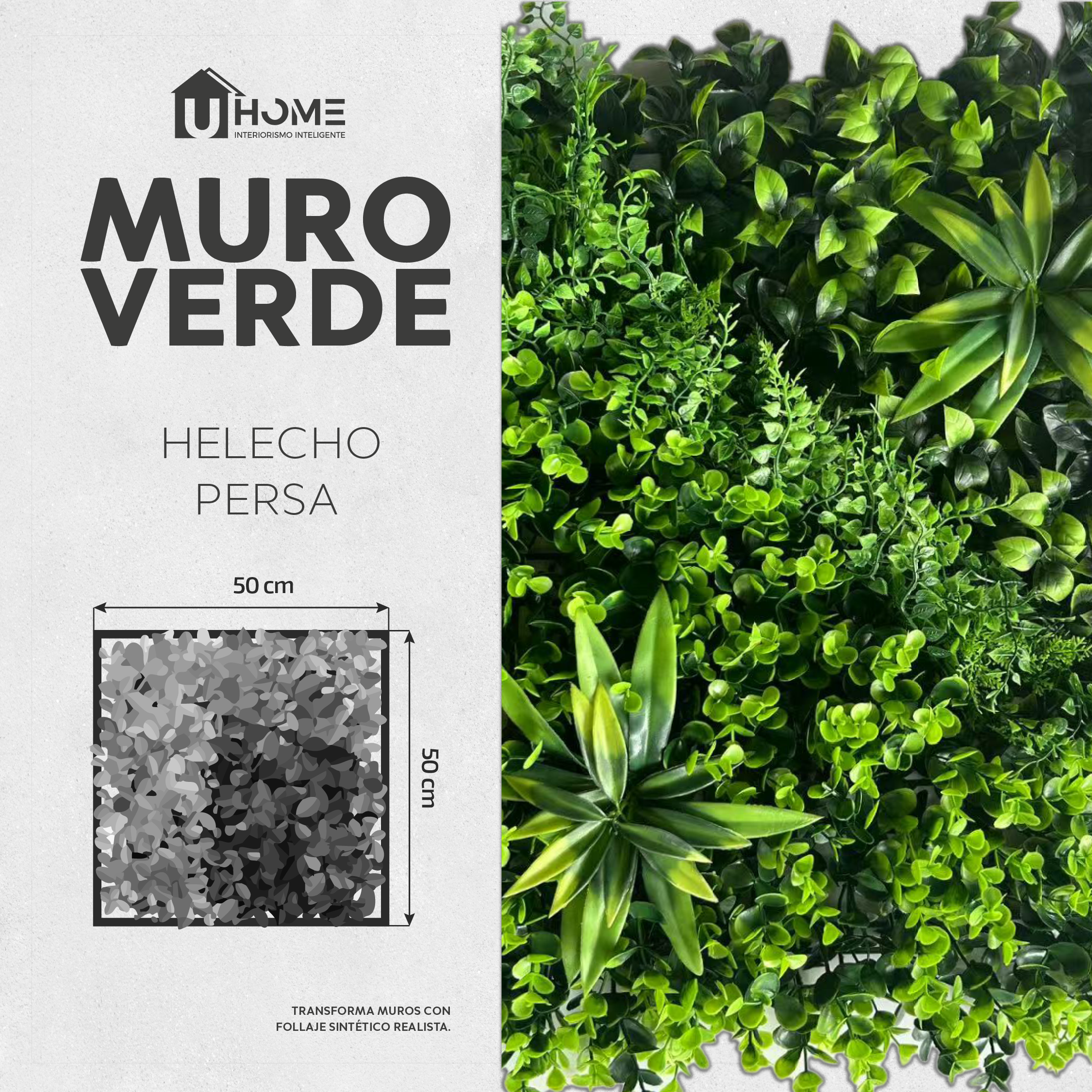 Muro Verde Helecho Persa