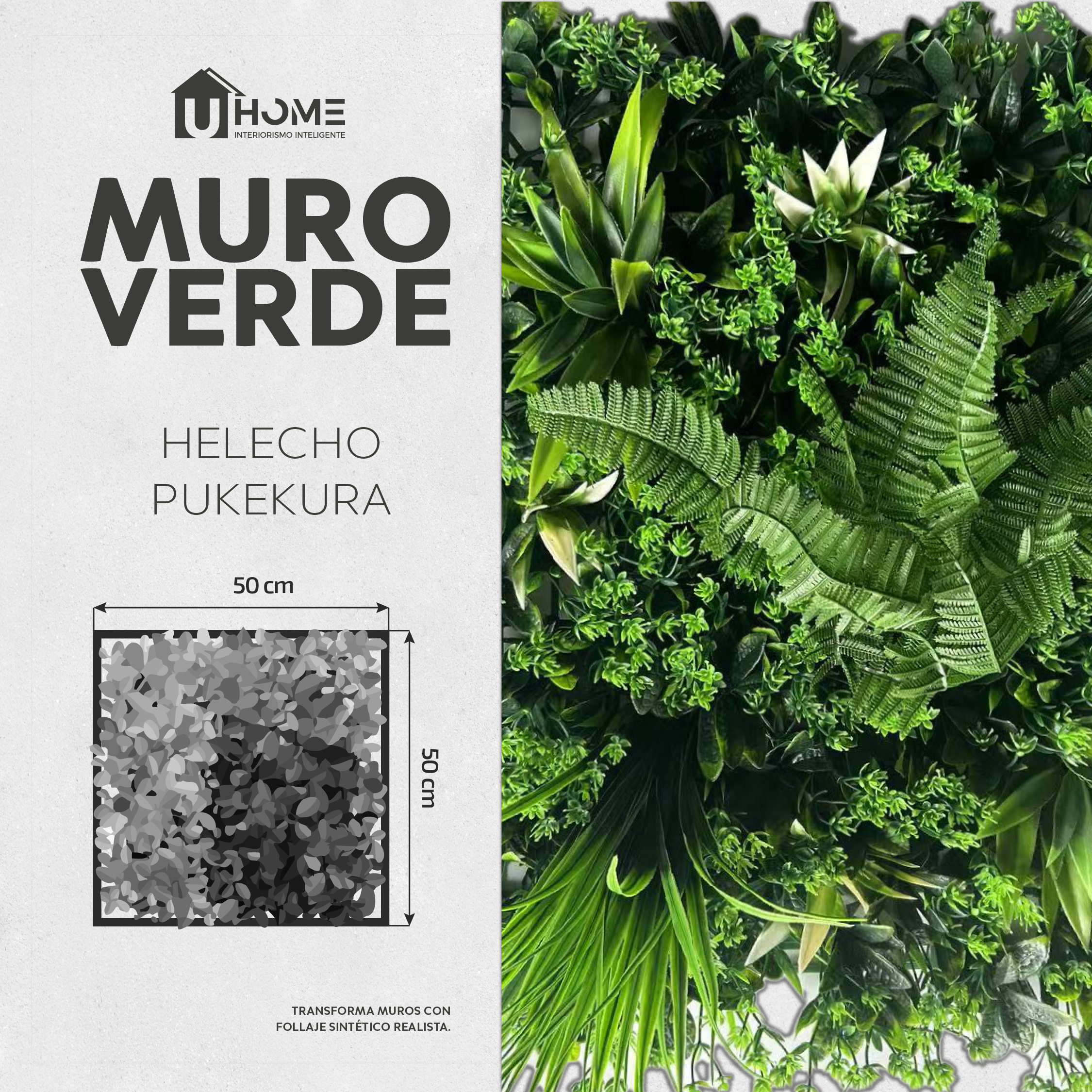 Muro Verde Helecho Pukekura