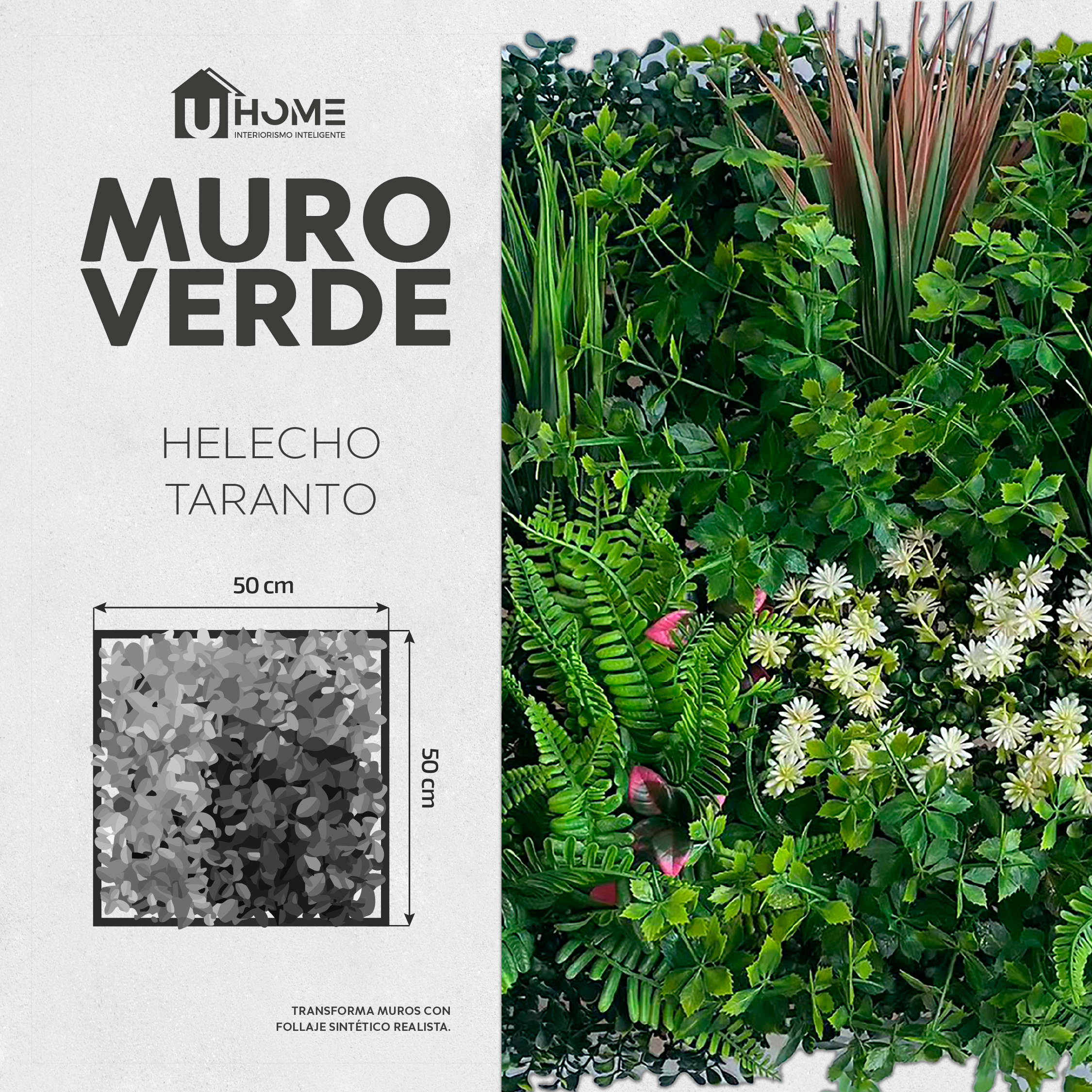 Muro Verde Helecho Taranto
