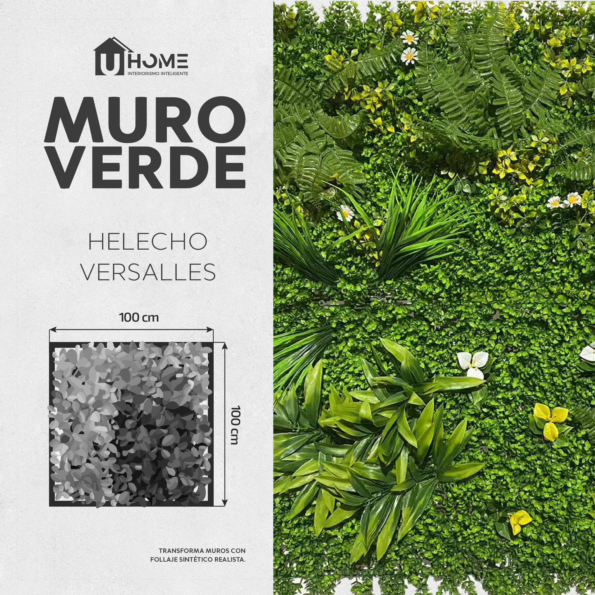 Muro Verde Helecho Versalles