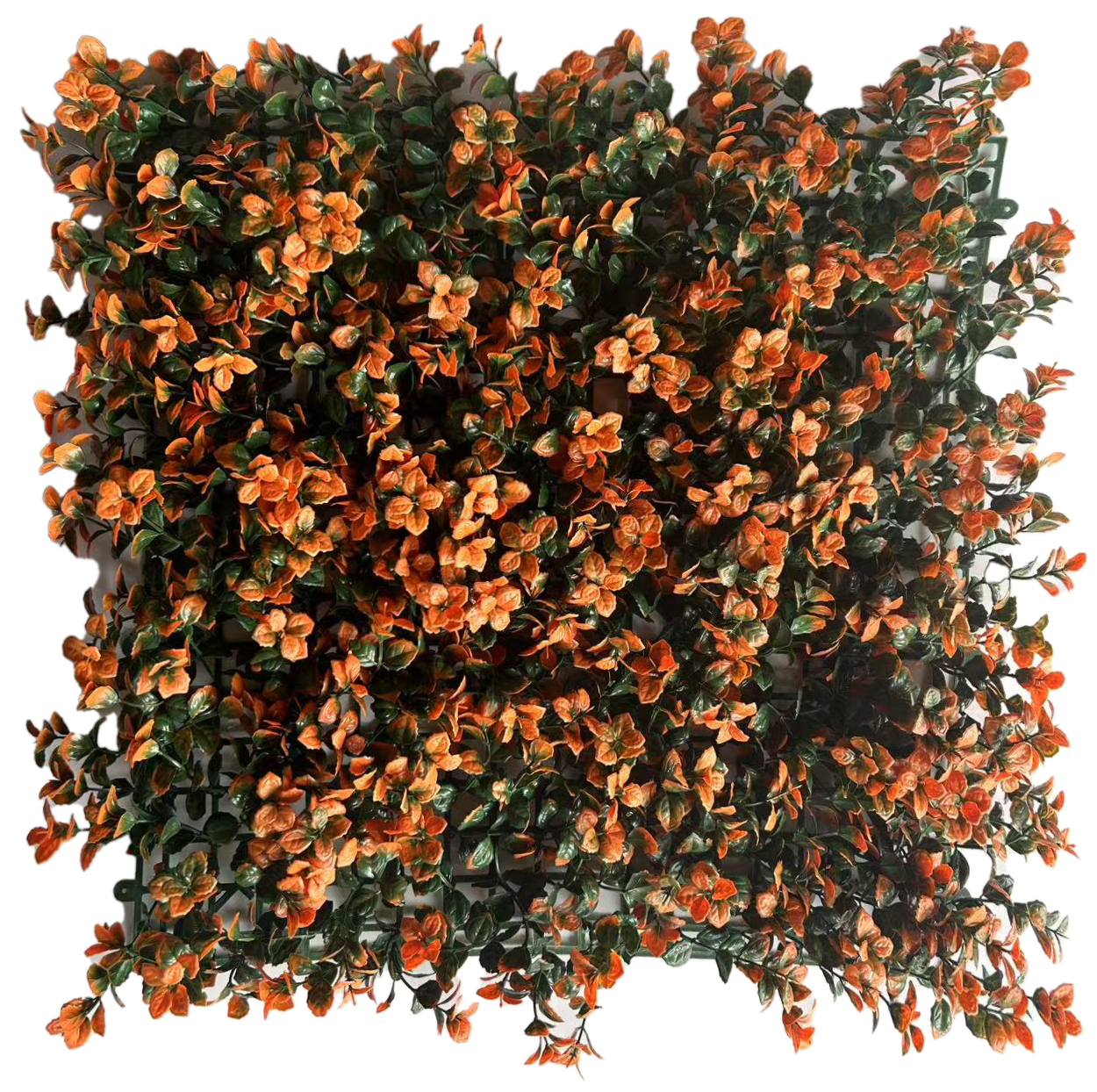 Muro Verde Helecho Arrayán Naranja