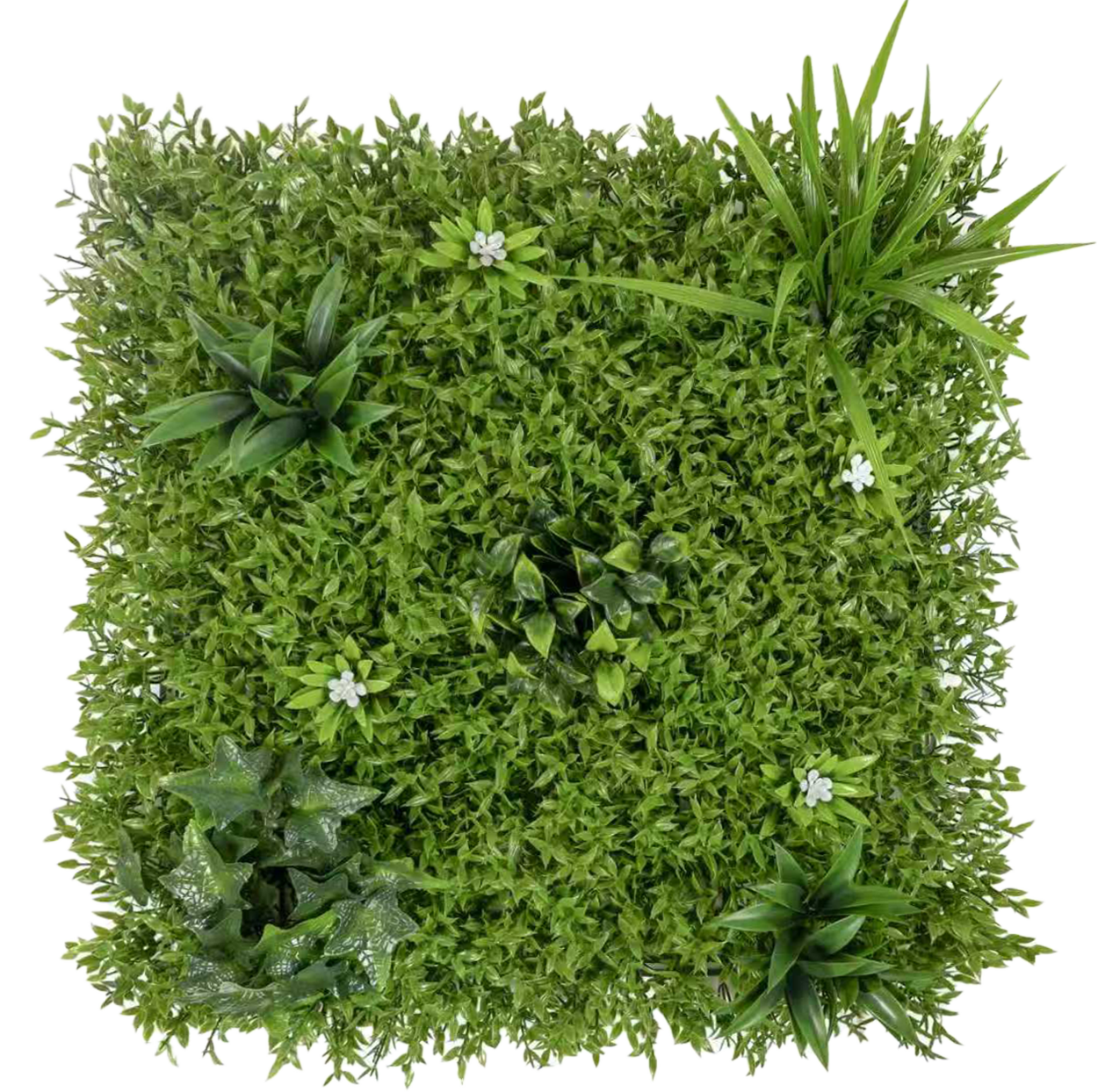 Muro Verde Helecho Lila