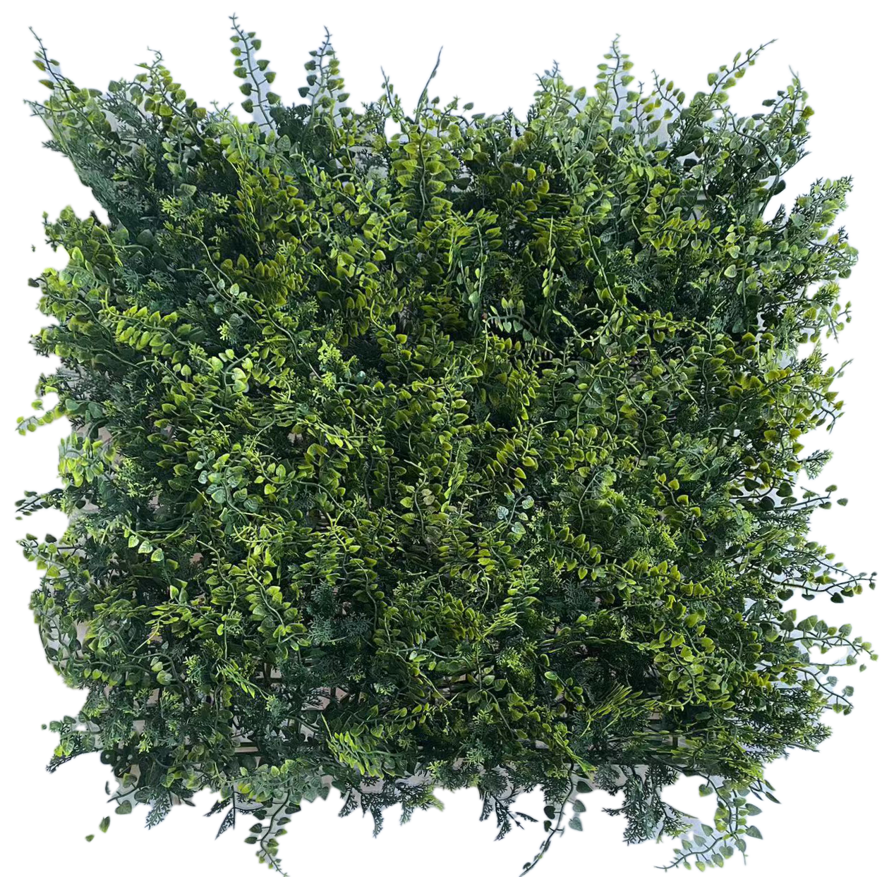 Muro Verde Helecho Musgo