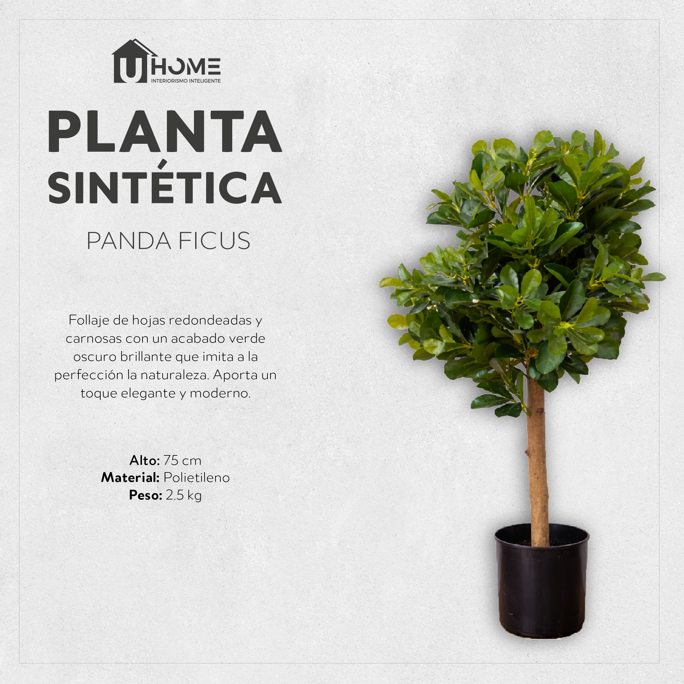 Planta Sintética Panda Ficus 75 cm