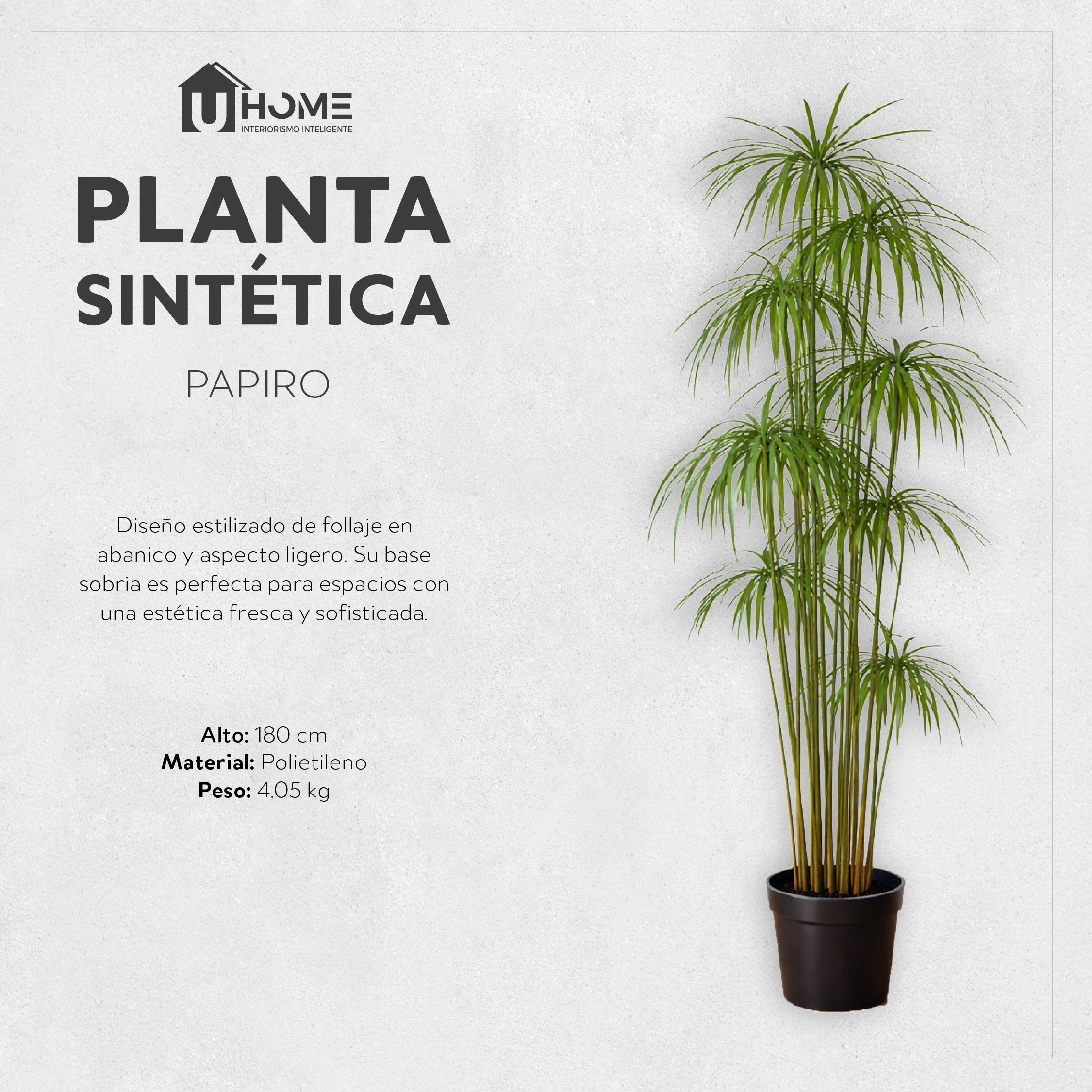 Planta Sintética Papiro 180 cm