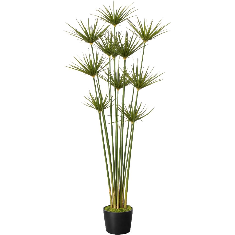 Planta Sintética Papiro 180 cm