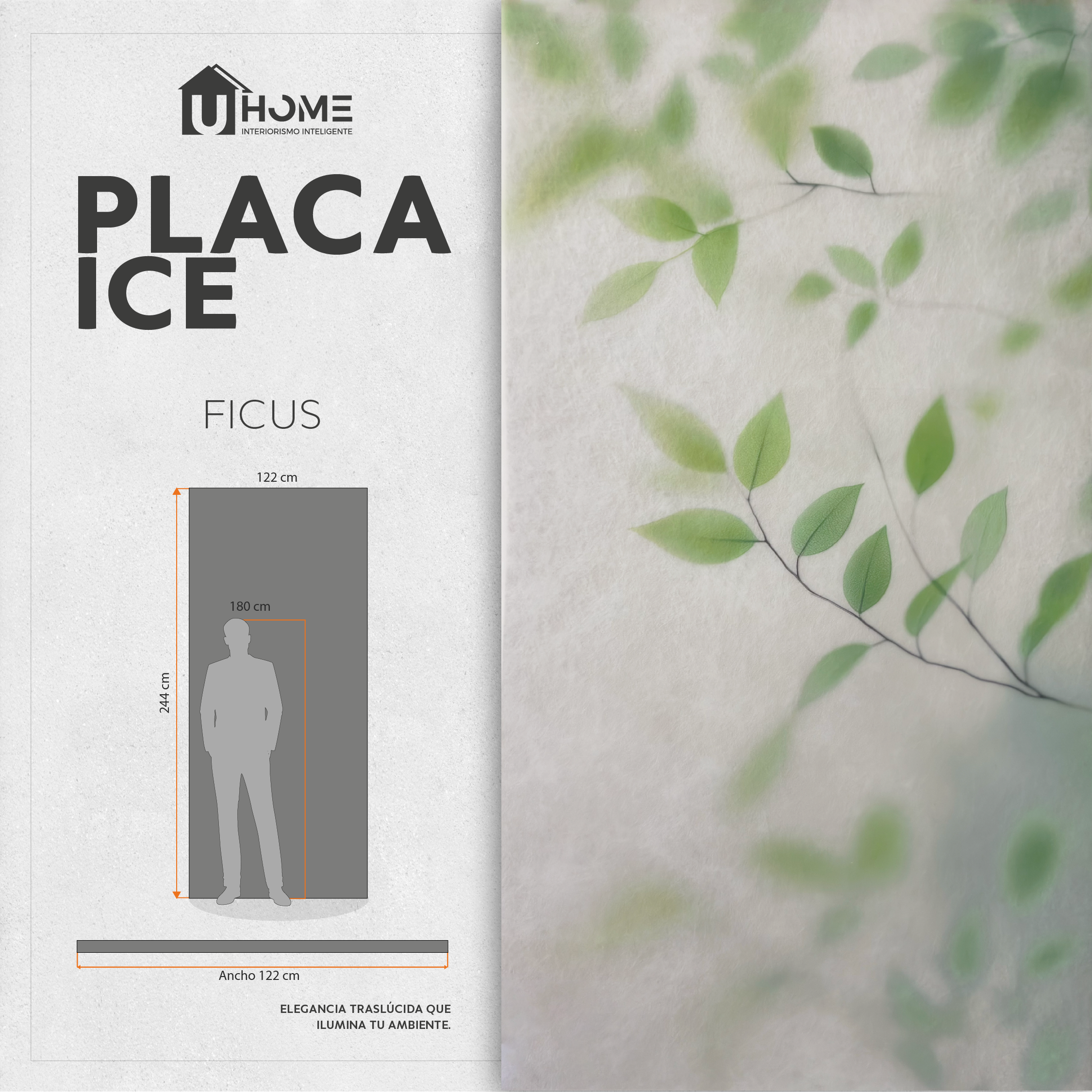 Placa Ice Ficus - Hoja 120x240