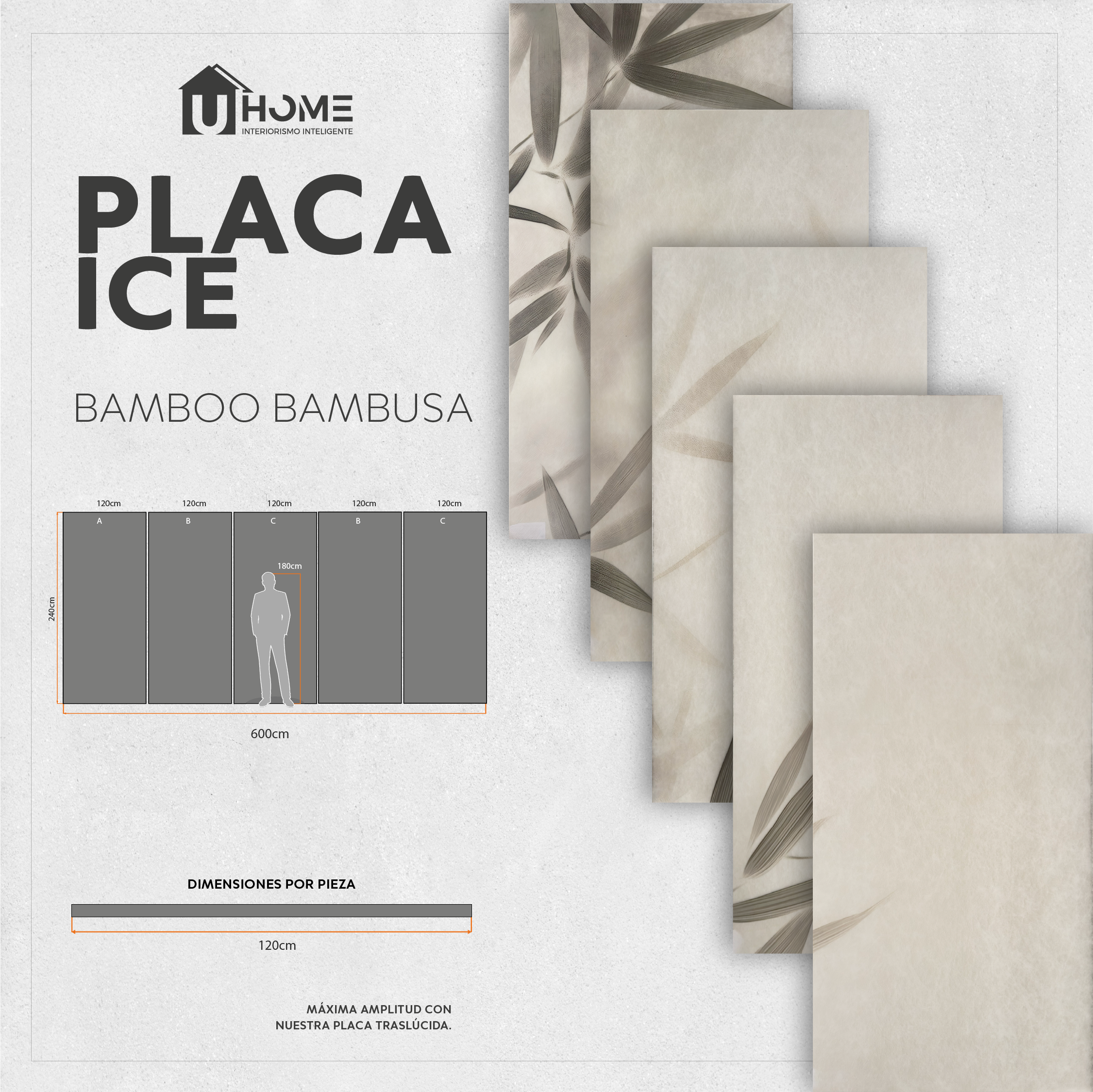 5 piezas Placa Ice Bamboo Bambusa - Hoja 120x240