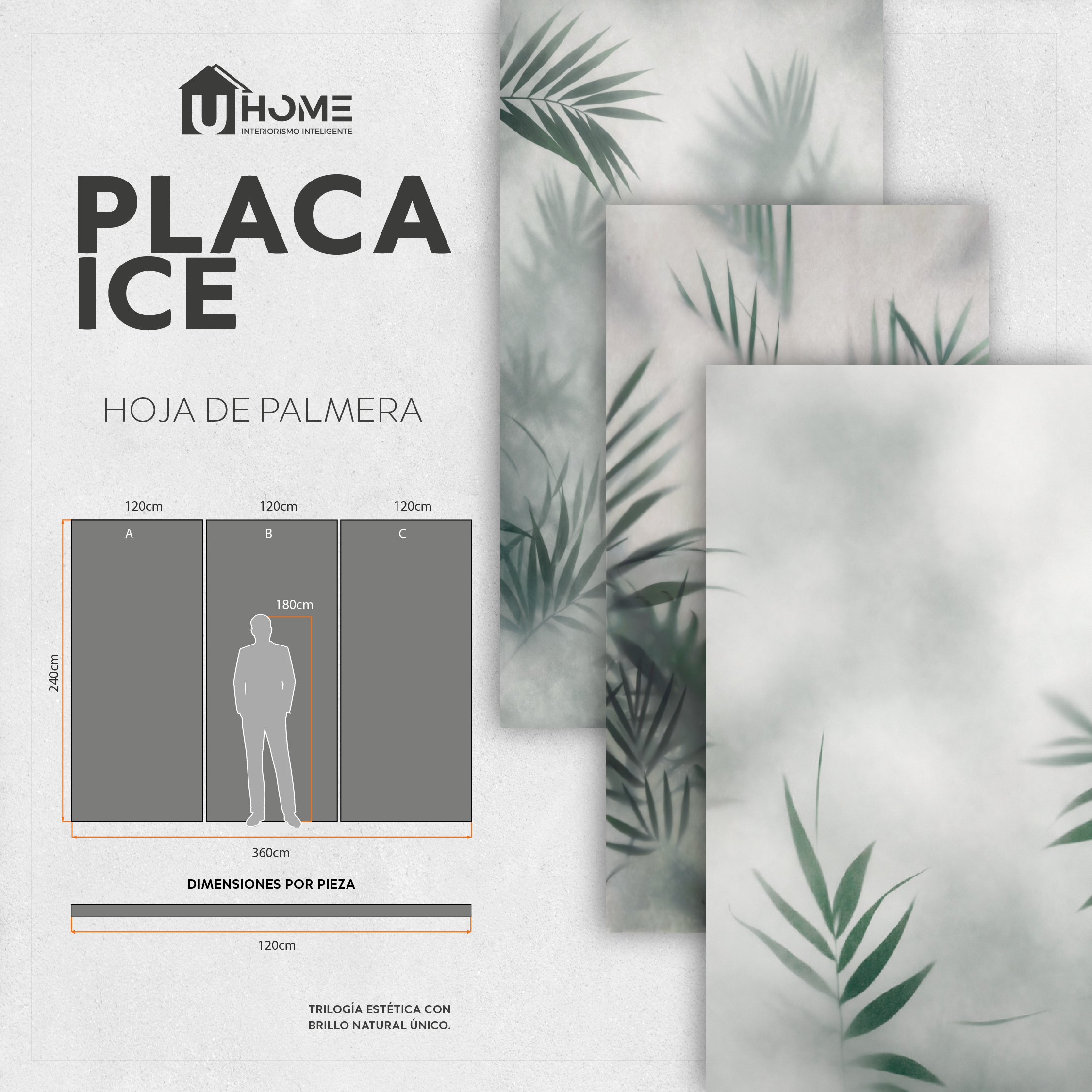 3pzas Placa Ice Hoja de Palmera. - Hoja120x240