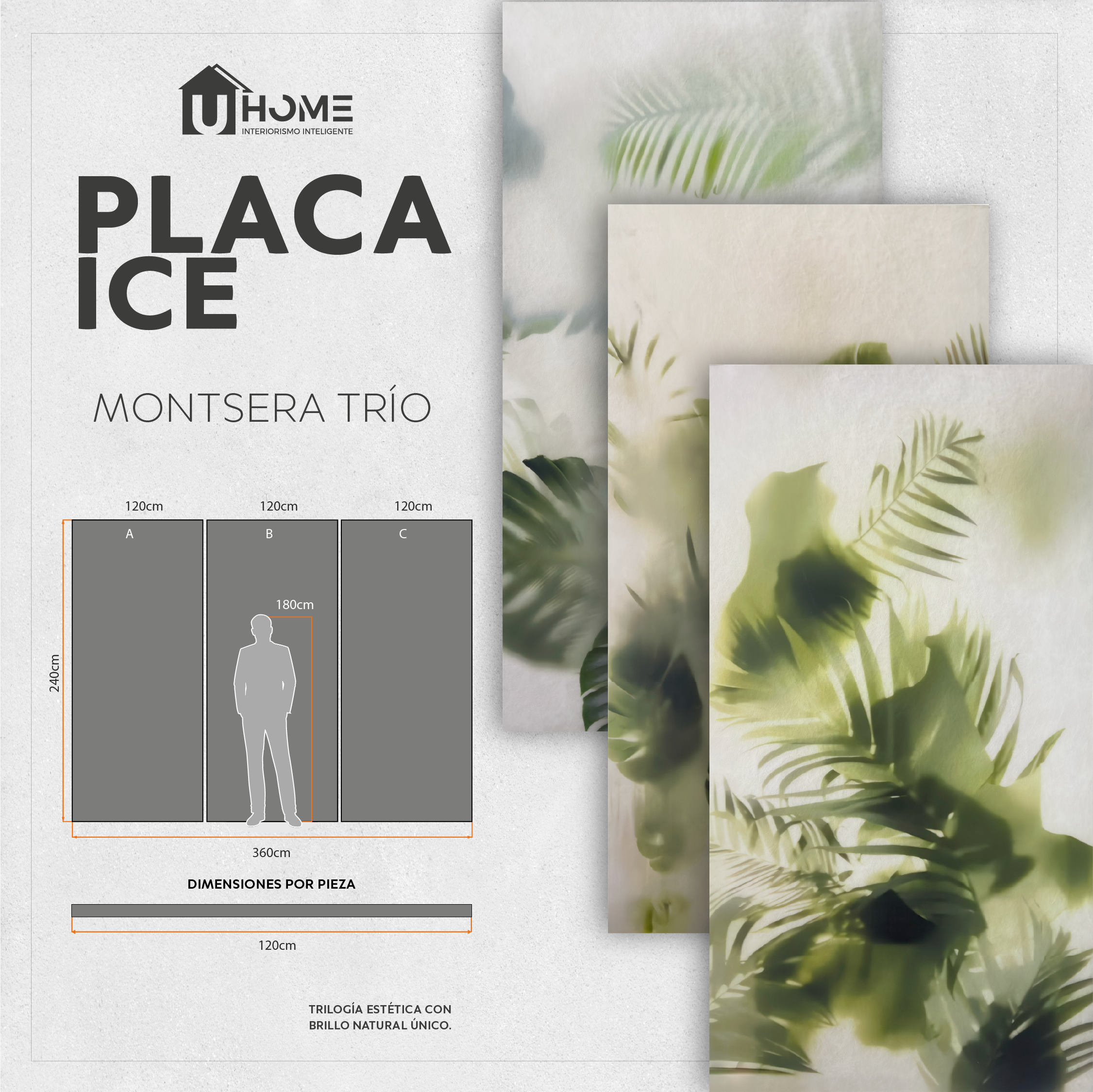 3pzas Placa Ice Monstera Trio - Hoja 120x240
