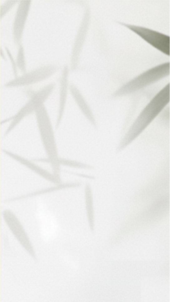 5pzas Placa Ice Bamboo Bambusa - Hoja 120x240