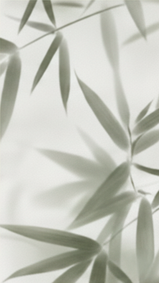 5pzas Placa Ice Bamboo Bambusa - Hoja 120x240