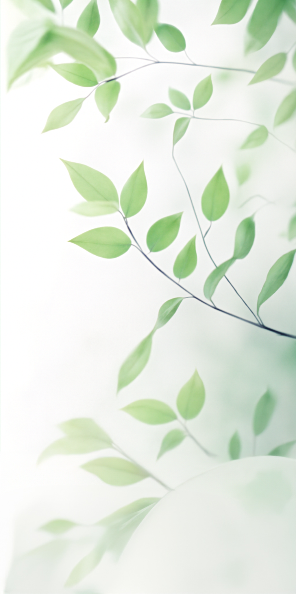 Placa Ice Ficus - Hoja 120x240