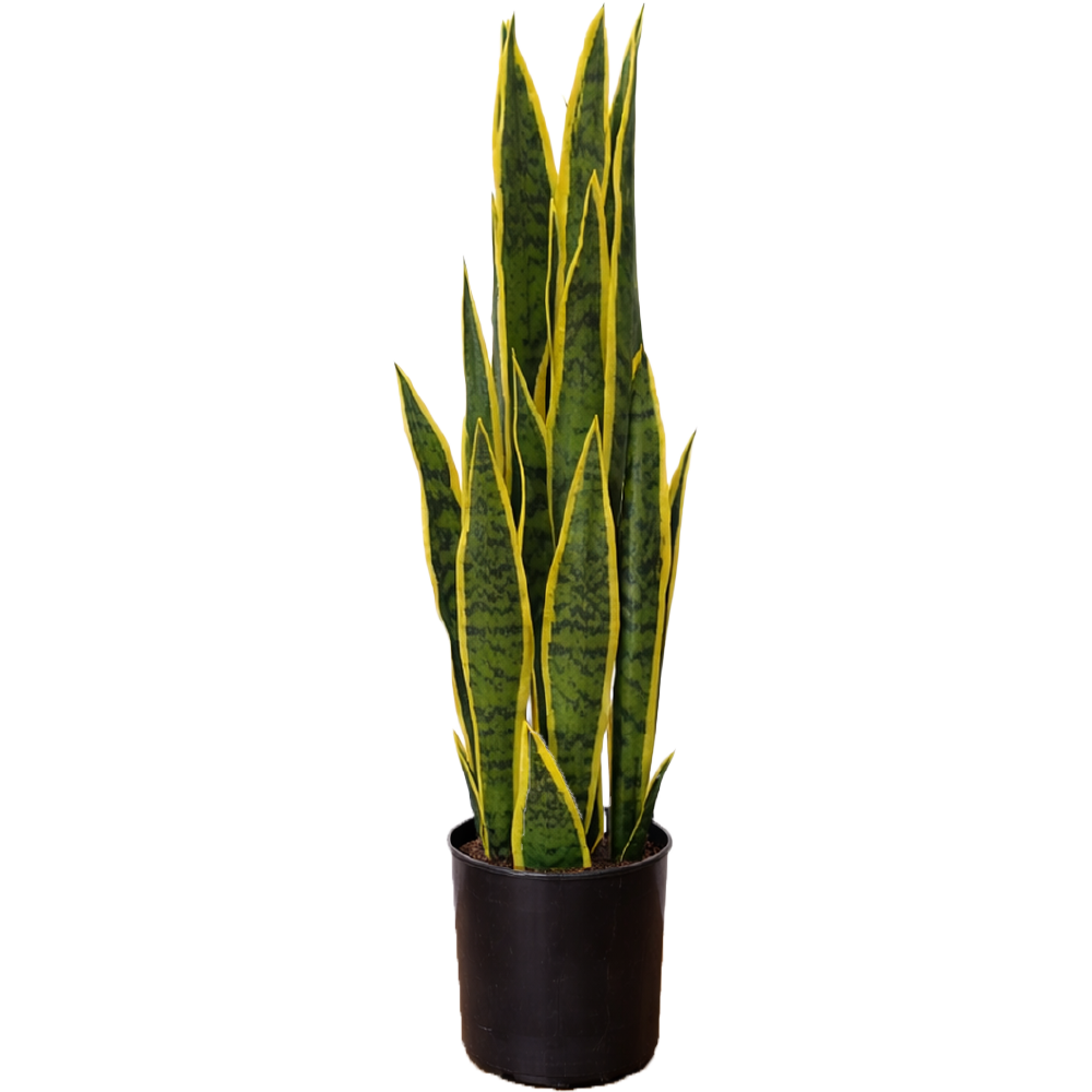 Planta Sintética Serpiente 65 cm
